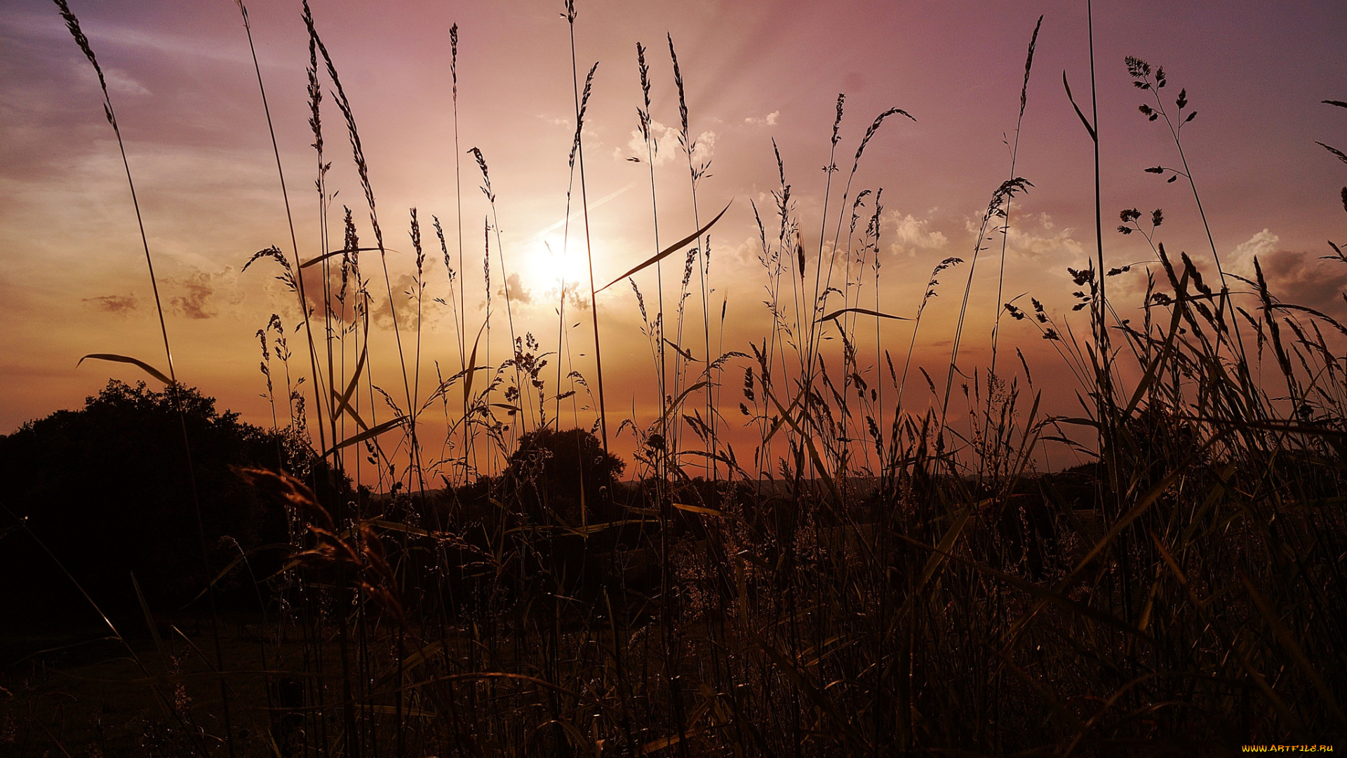 природа, восходы, закаты, рассвет