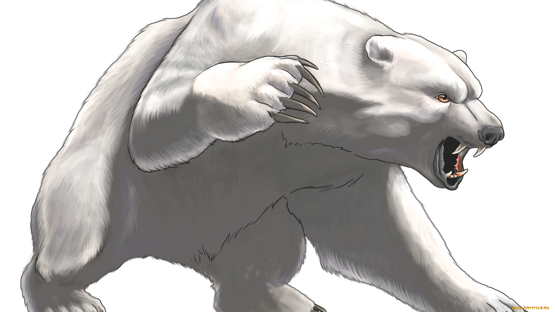 рисованное, животные, , медведи, медведь, фон