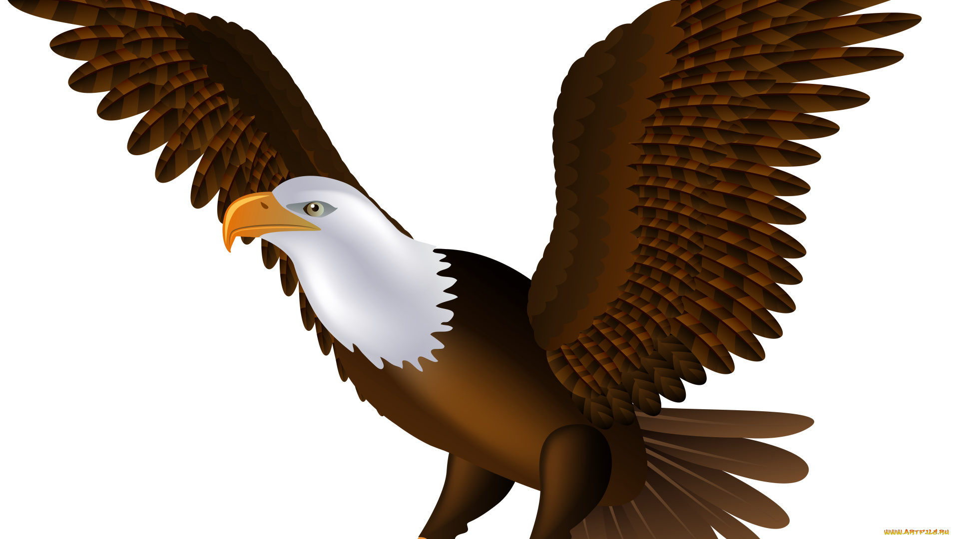 рисованное, животные, , птицы, , орлы, орел