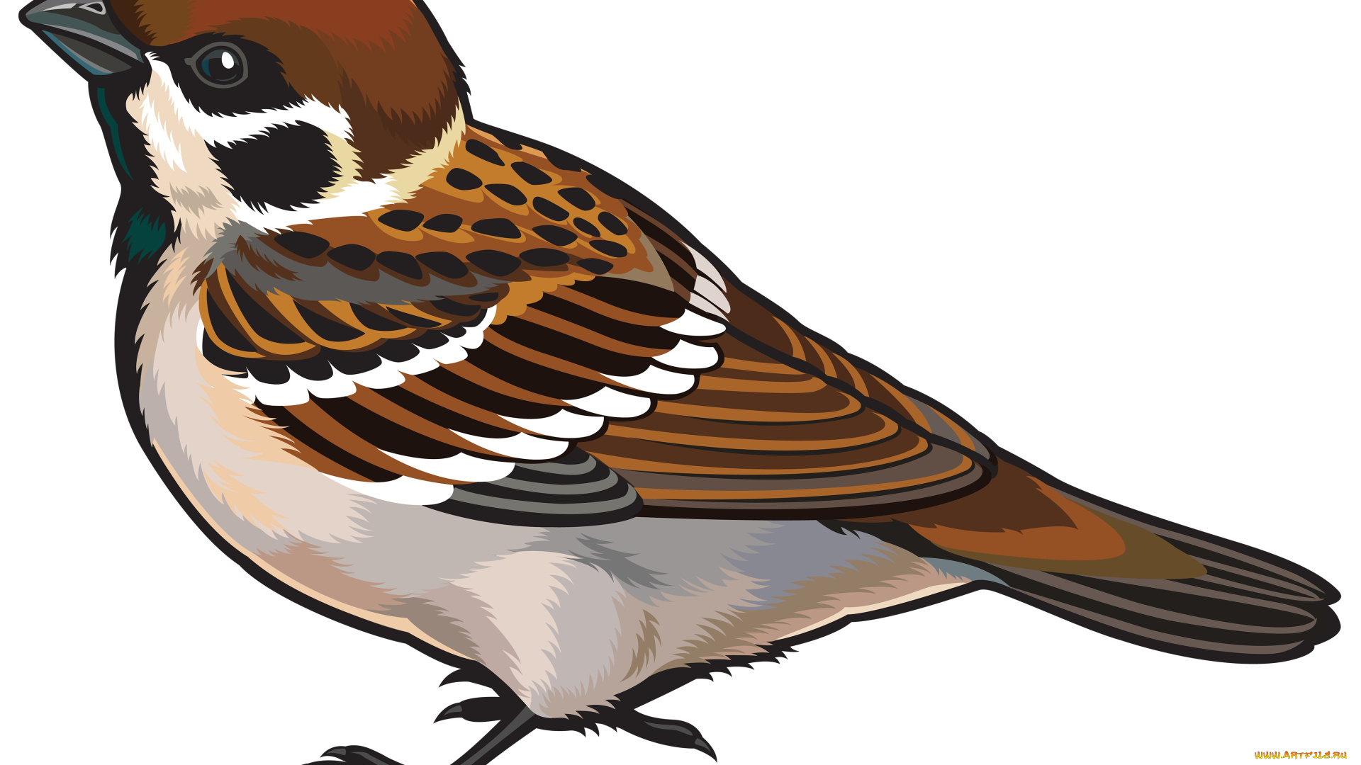 рисованное, животные, , птицы, фон, птица