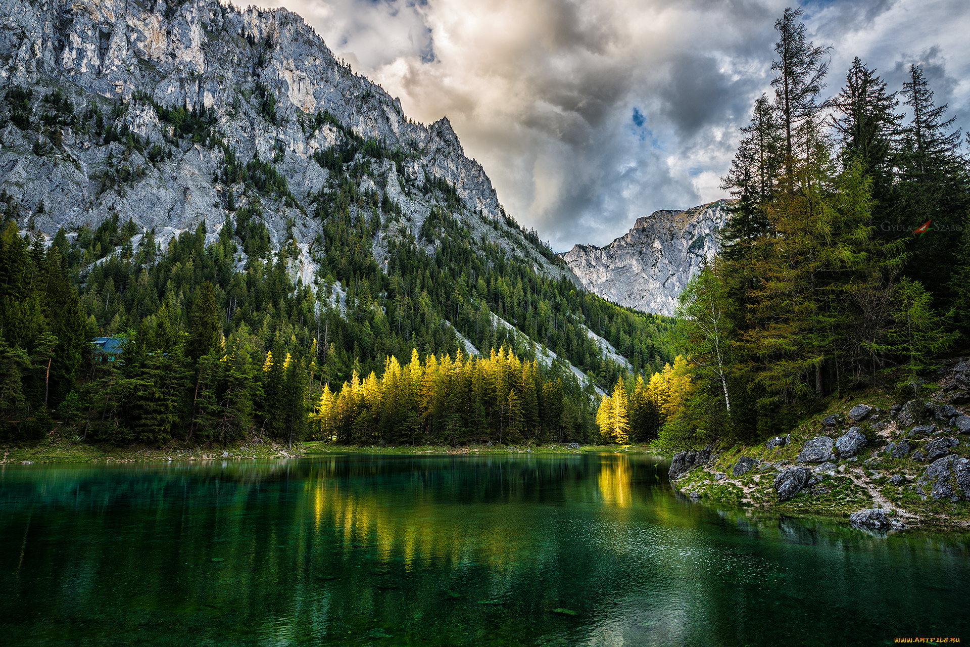 природа, реки, озера, лес, река