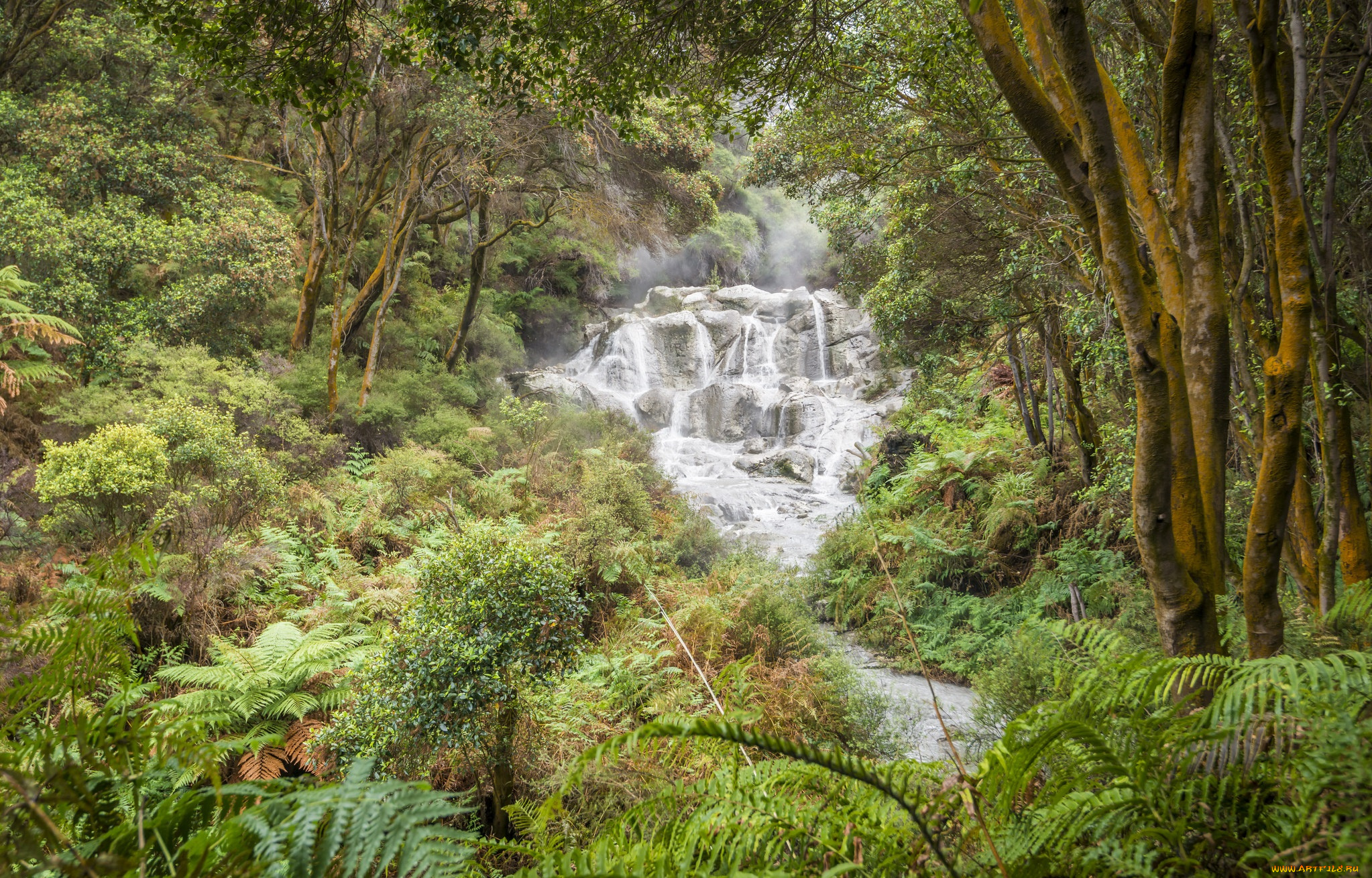 природа, водопады, водопад, река, лес