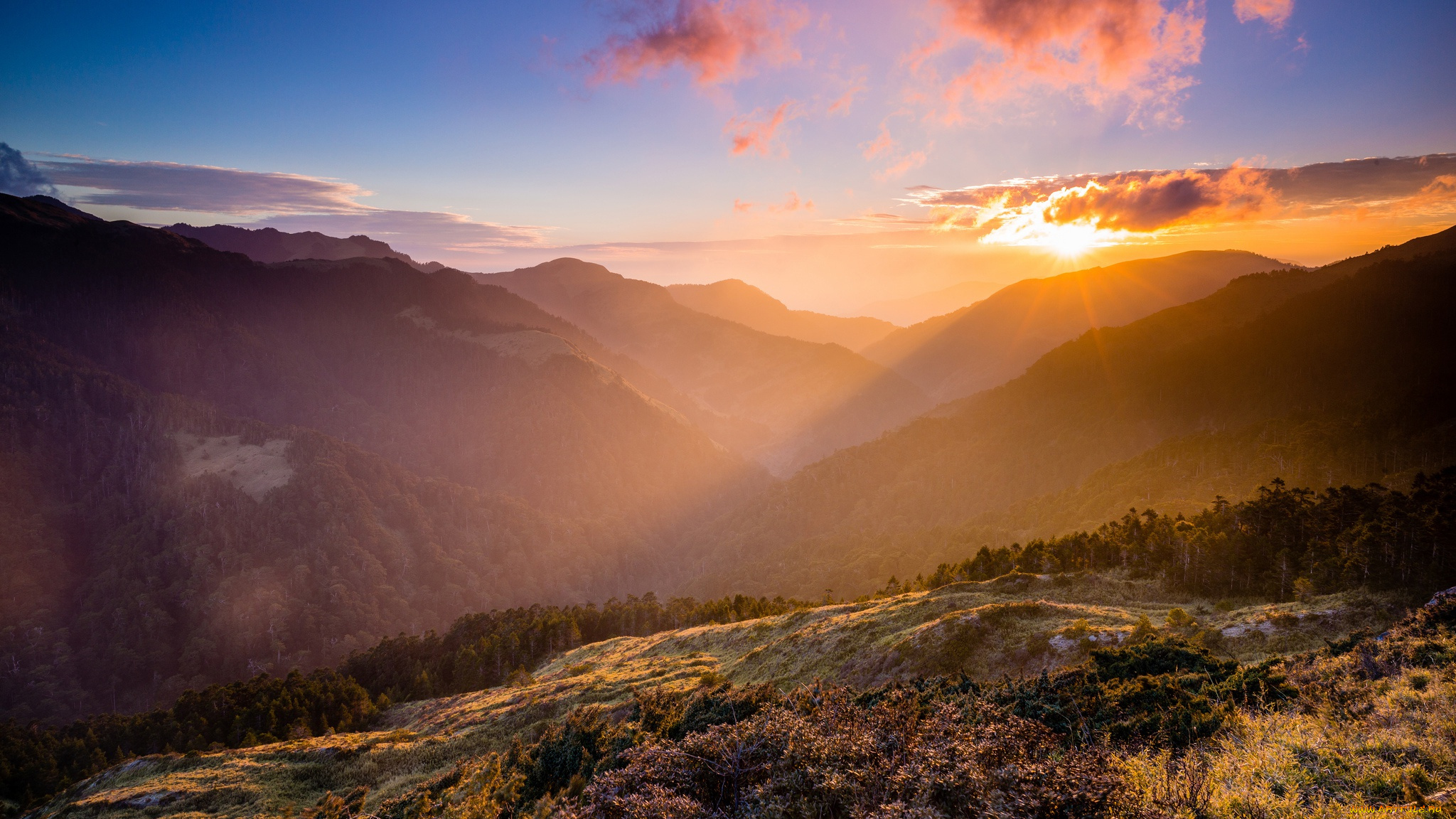 природа, горы, пейзаж, нежное, небо, рассвет, вид, вершины, голубое, туман, нежно, лучи, солнечно, облака, лес, высота, солнце, холмы, растительность, даль, настроение, дымка, ели, холм, освещение, склон, краски, красота, утро
