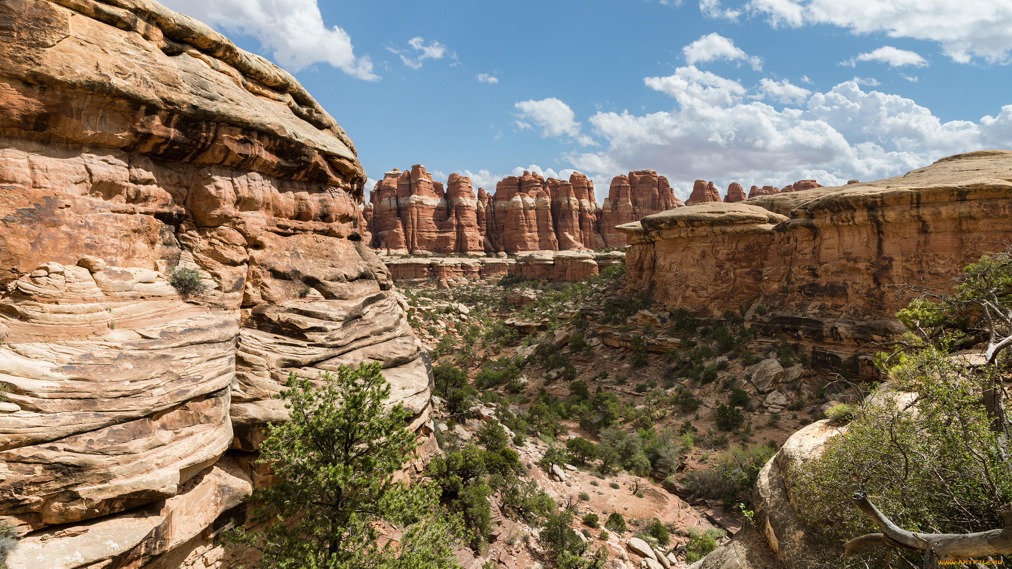 природа, горы, простор