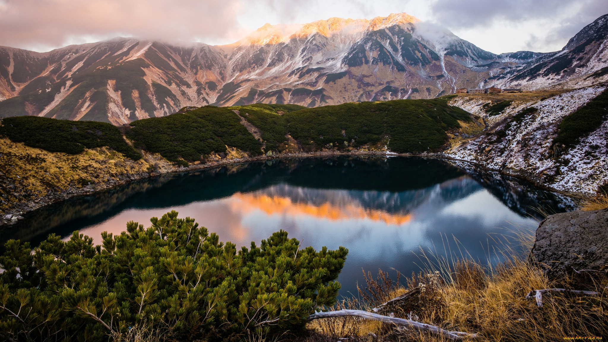 природа, реки, озера, пейзаж, горное, озеро, трава, водоем, хвоя, снежные, вершины, сосны, облака, ветки, холмы, берег, зеркальное, горы, отражение