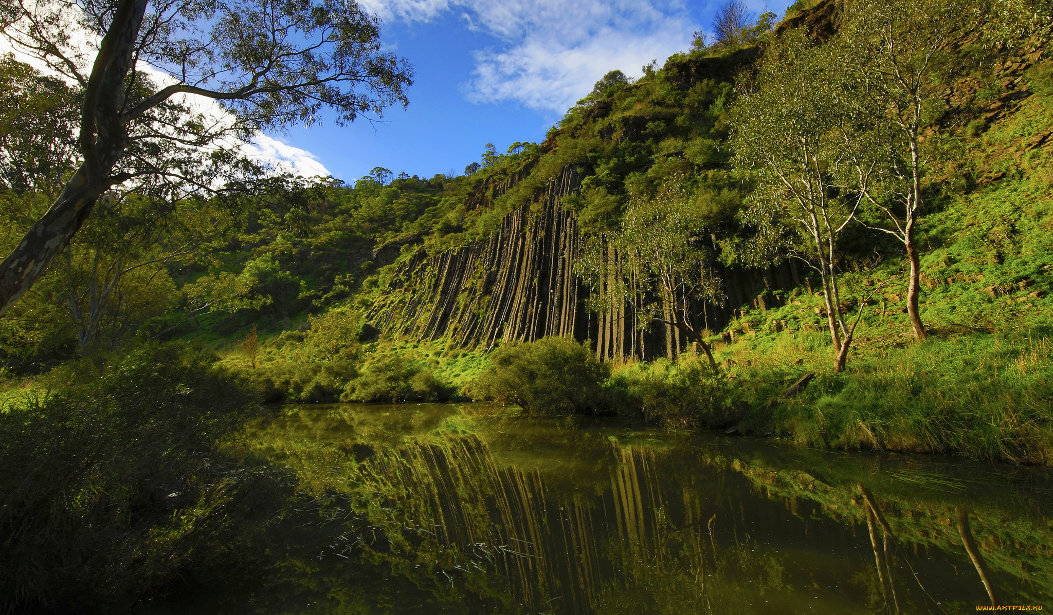 природа, реки, озера, лес, река