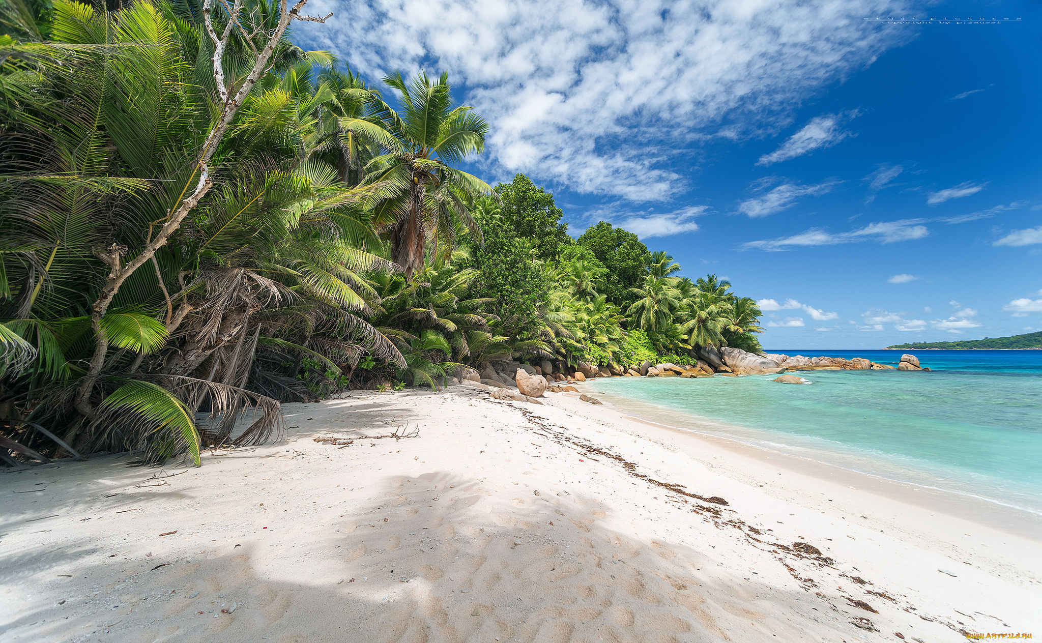 природа, тропики, курорт