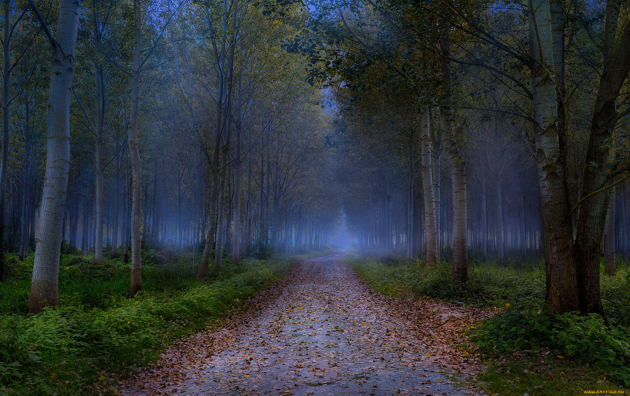 природа, дороги, тракт