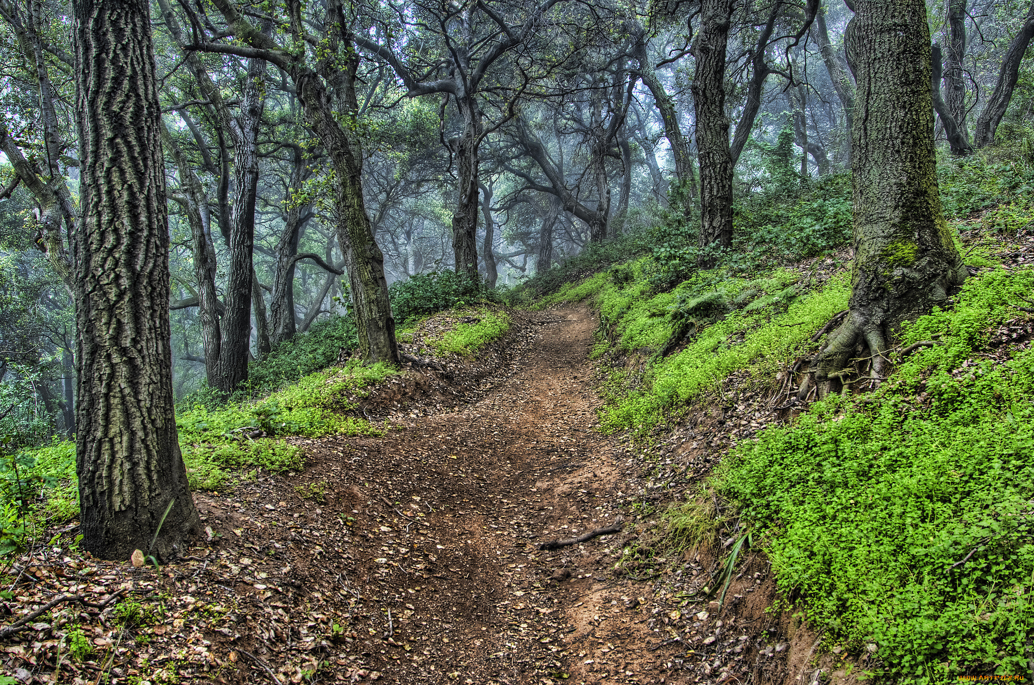 природа, дороги, тракт