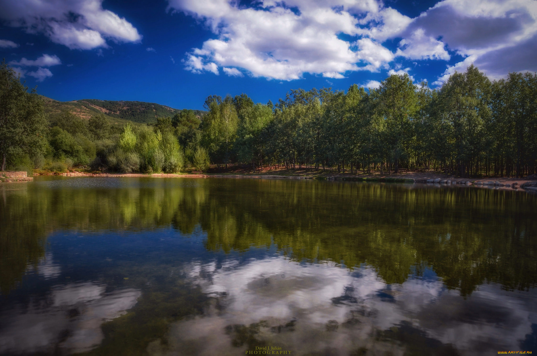 природа, реки, озера, лес, река