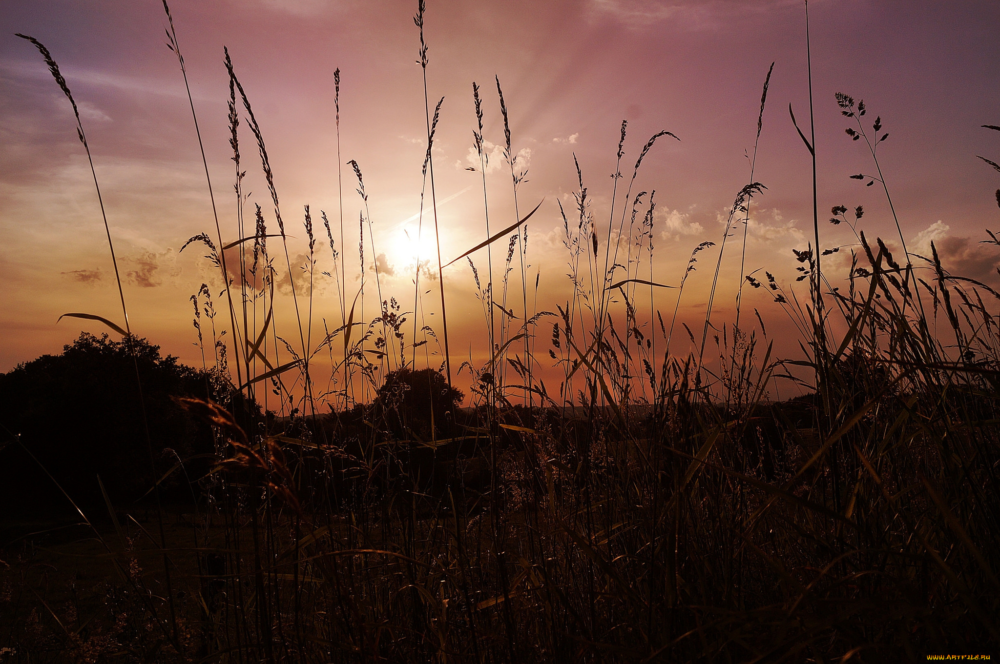 природа, восходы, закаты, рассвет