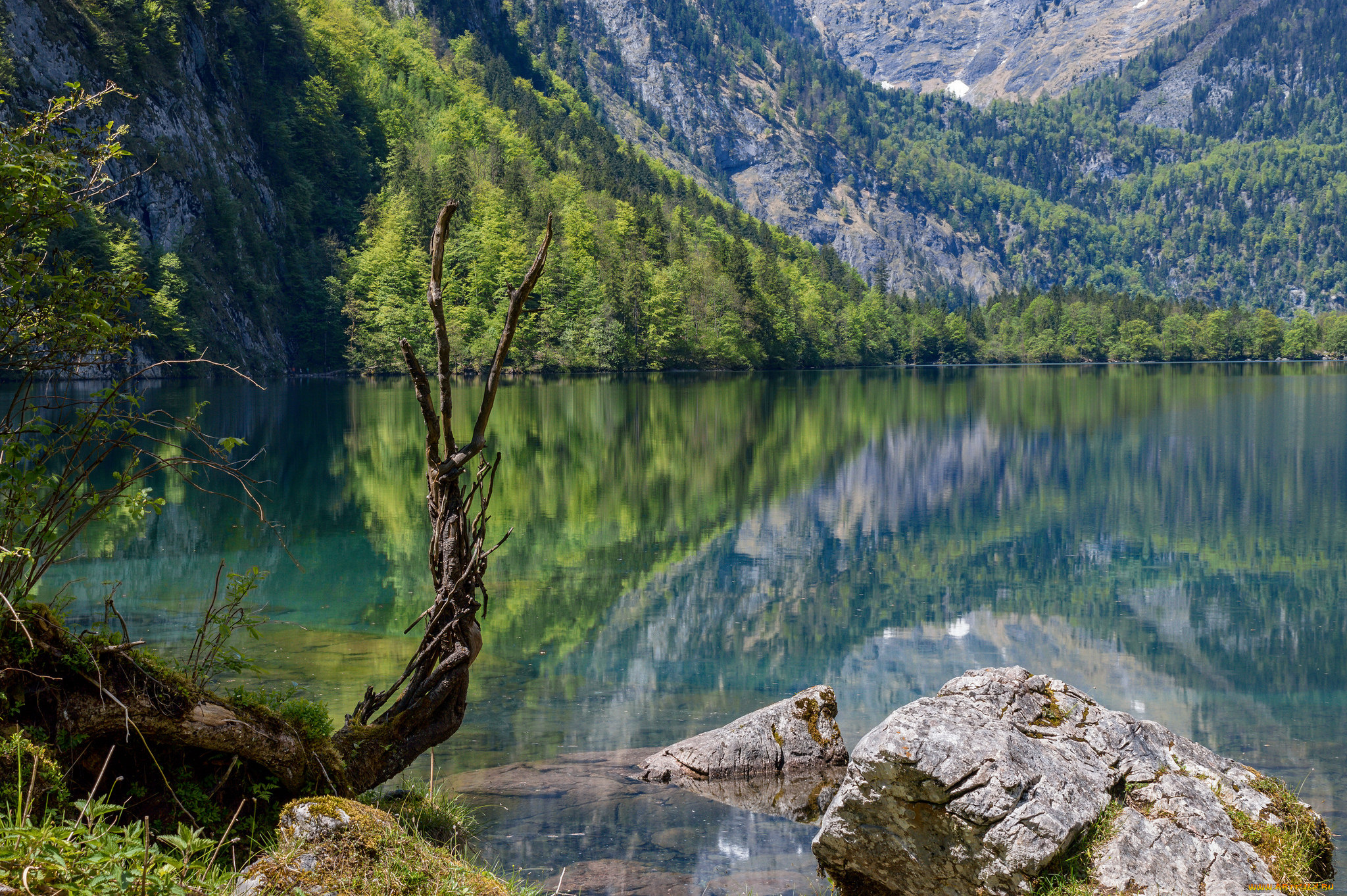 природа, реки, озера, лес, река