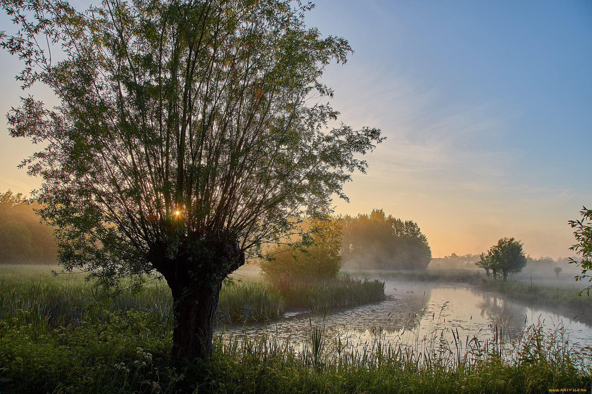 природа, реки, озера, лес, река