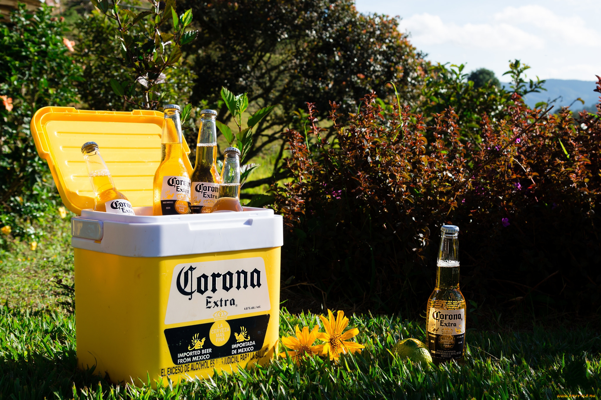 бренды, бренды, напитков, , разное, алкоголь