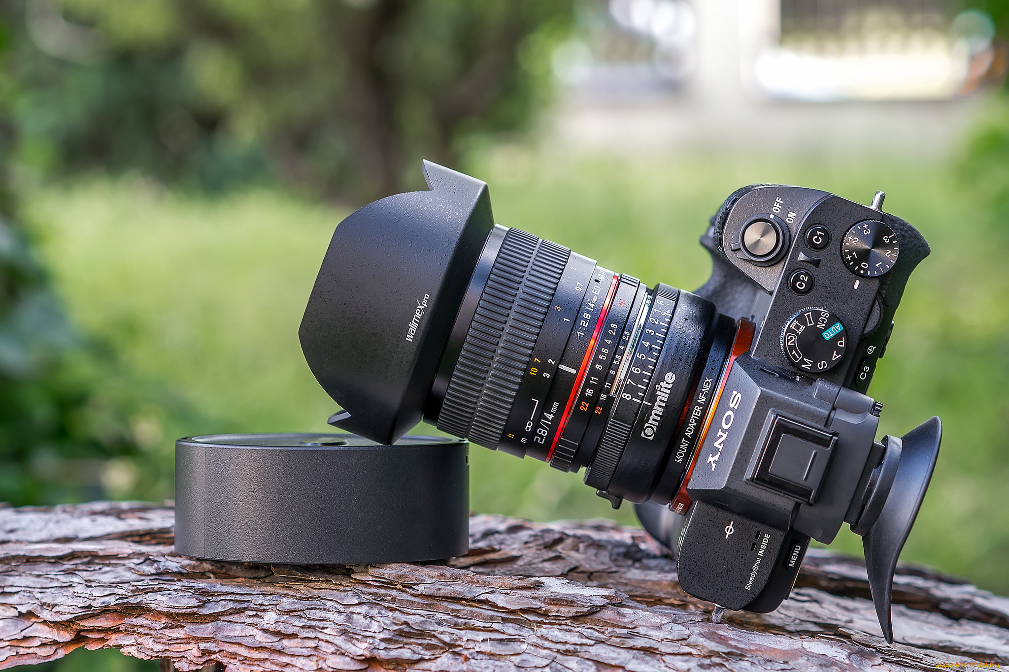 бренды, sony, фотокамера