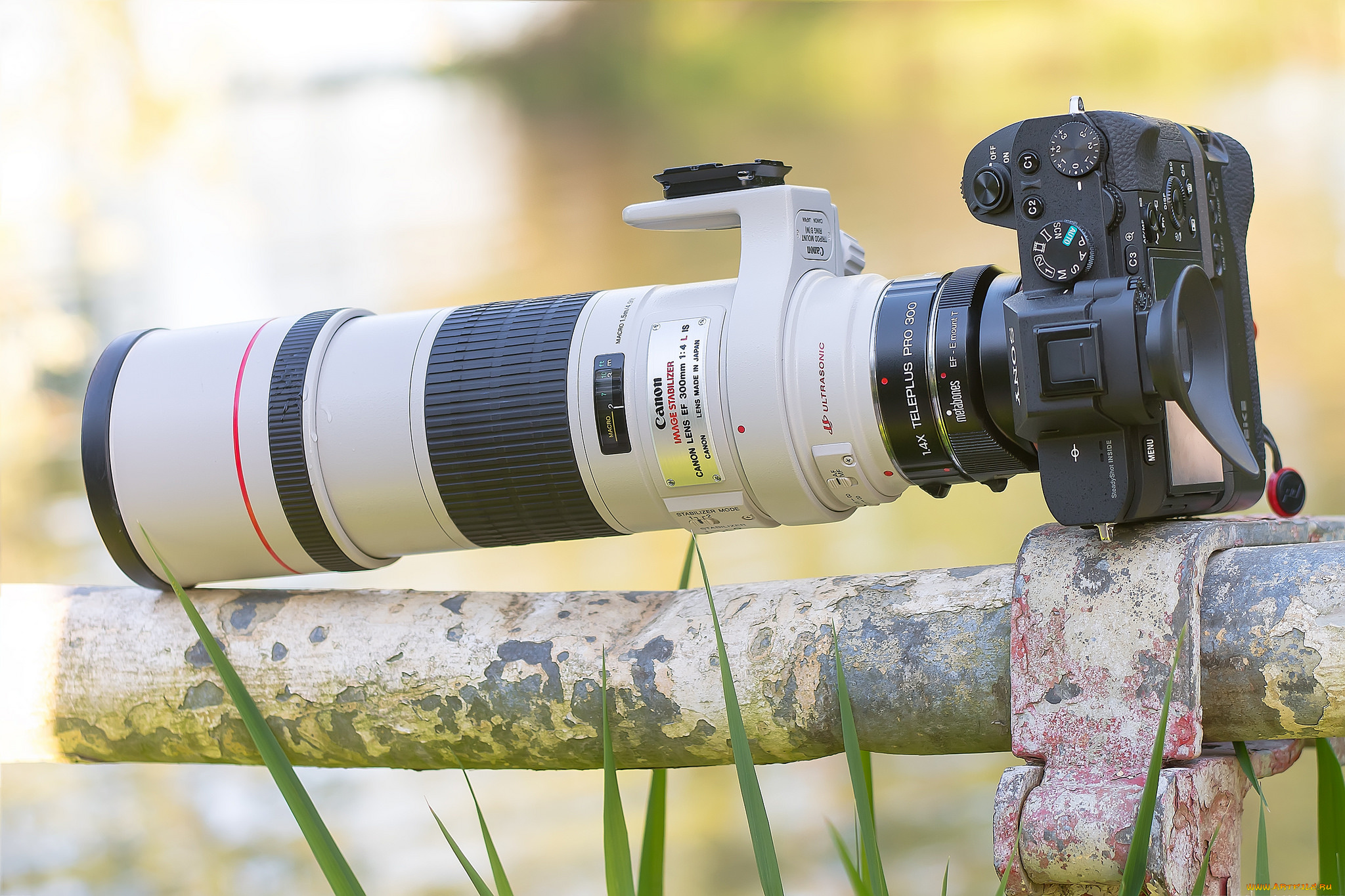 бренды, sony, фотокамера