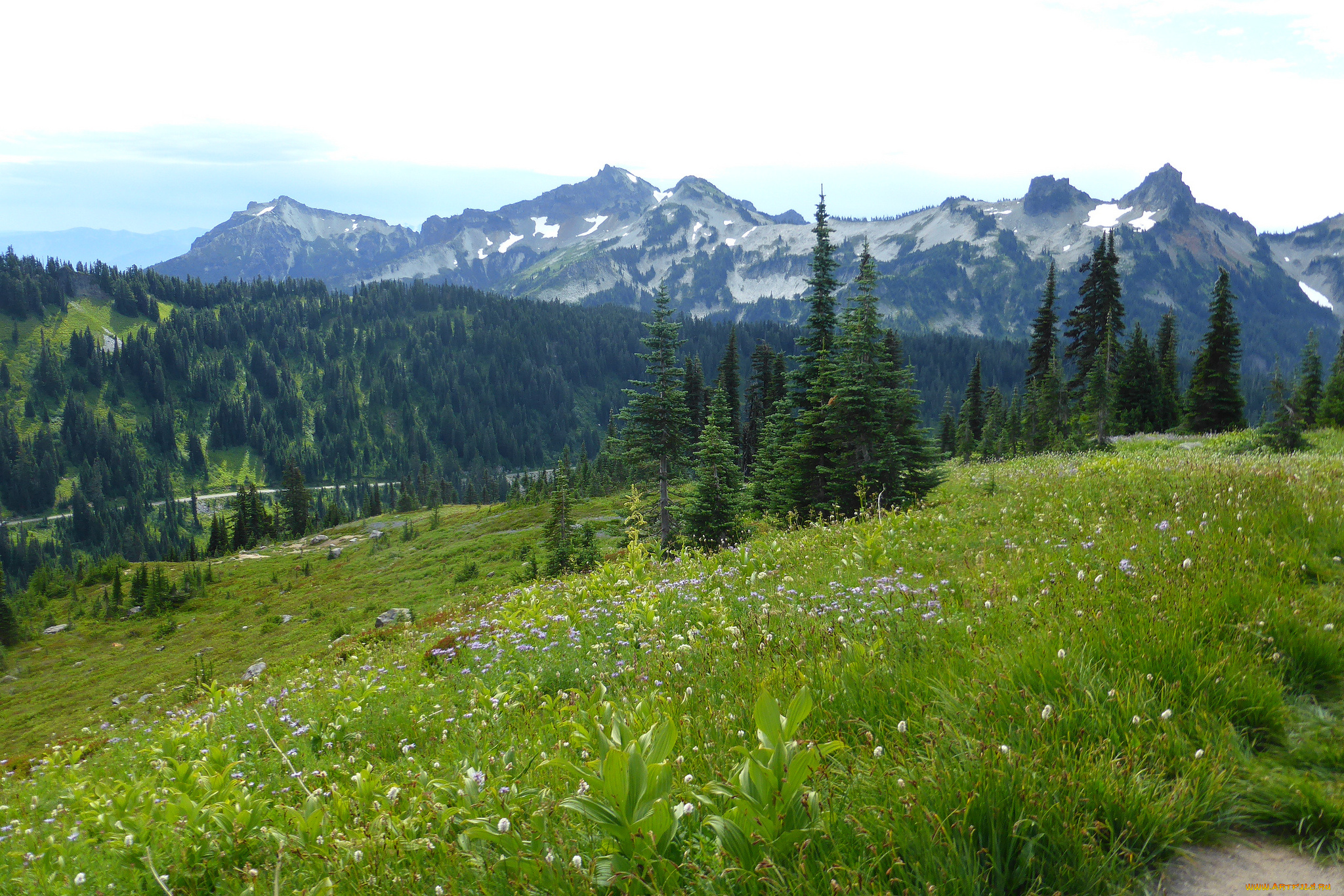 природа, горы, простор