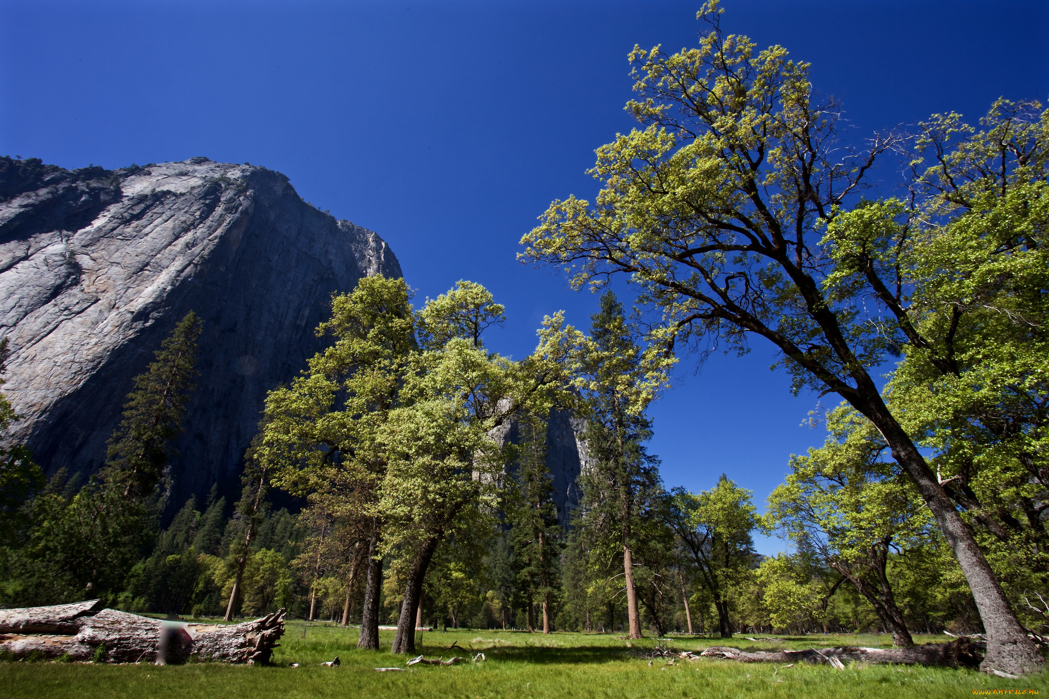 природа, горы, простор