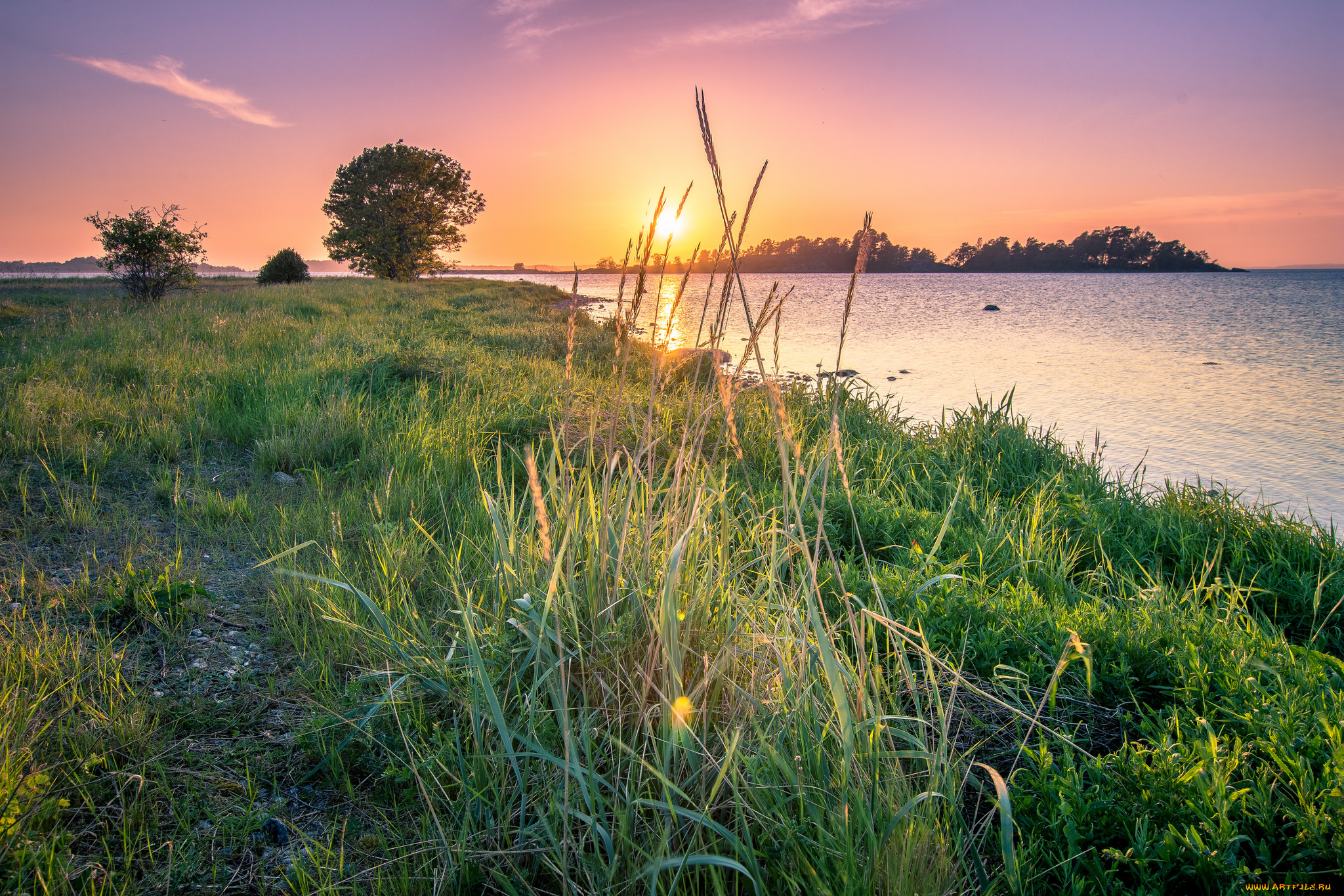 природа, реки, озера, лес, река