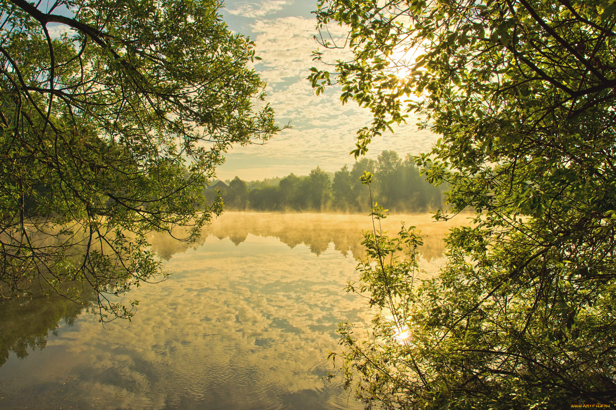 природа, реки, озера, лес, река