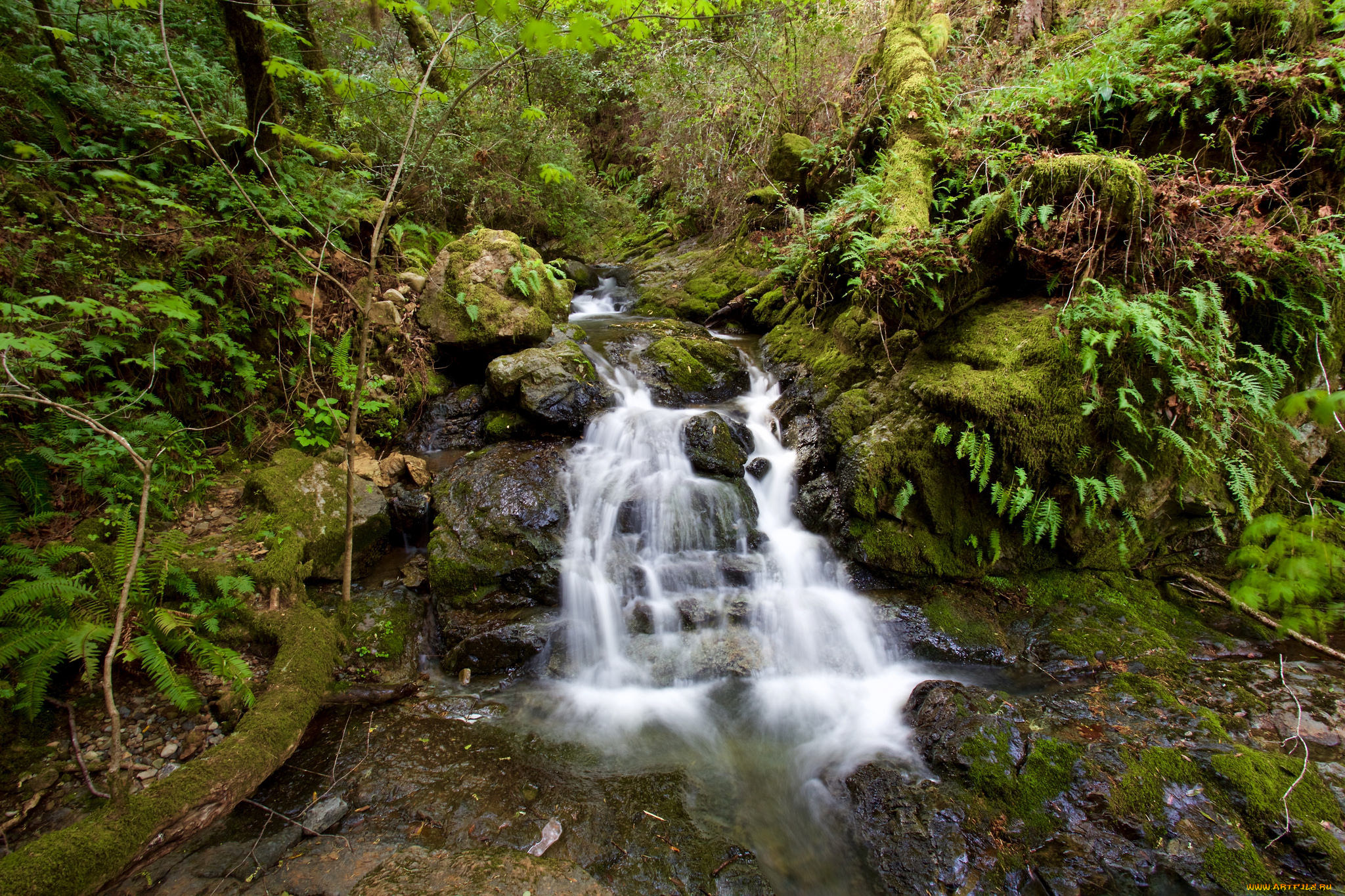 природа, водопады, лес, водопад, река