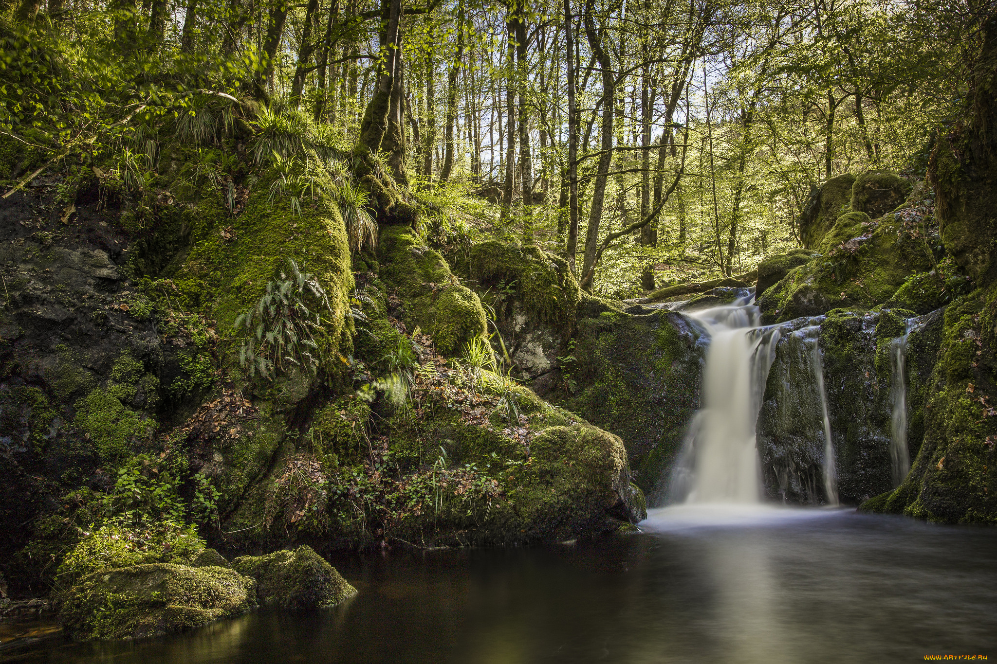 природа, водопады, водопад, река, лес
