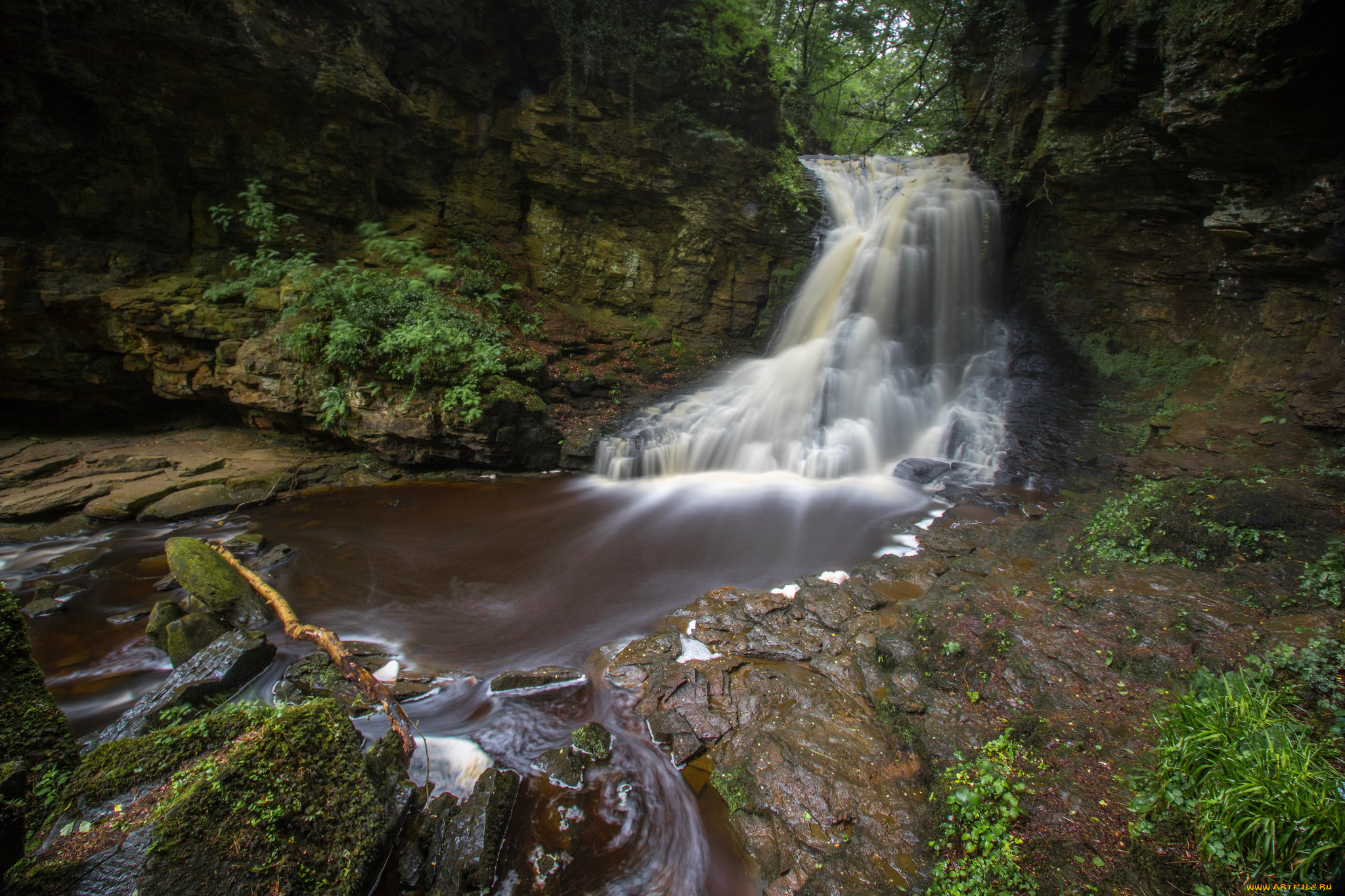 природа, водопады, водопад, река, лес