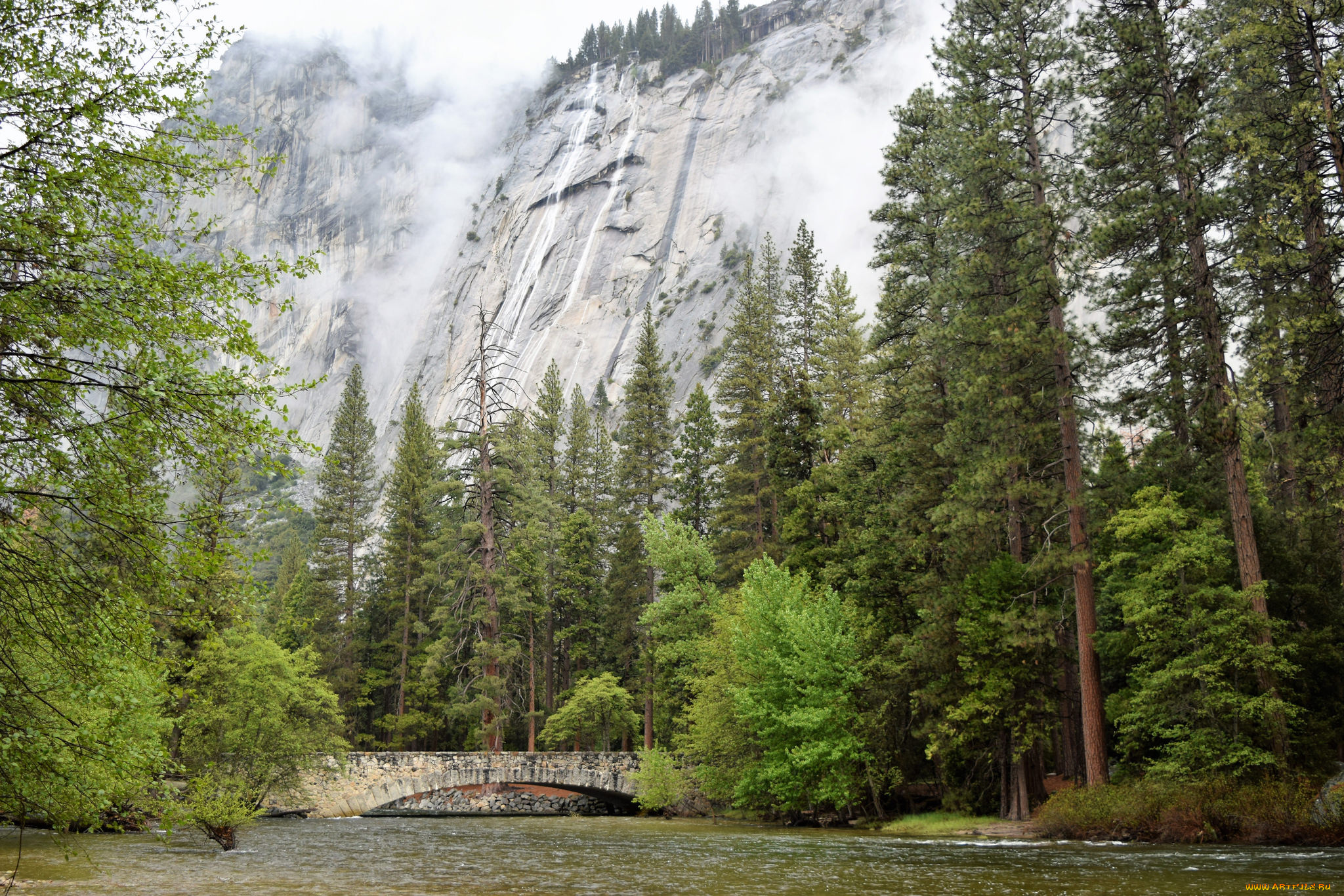 природа, реки, озера, лес, река