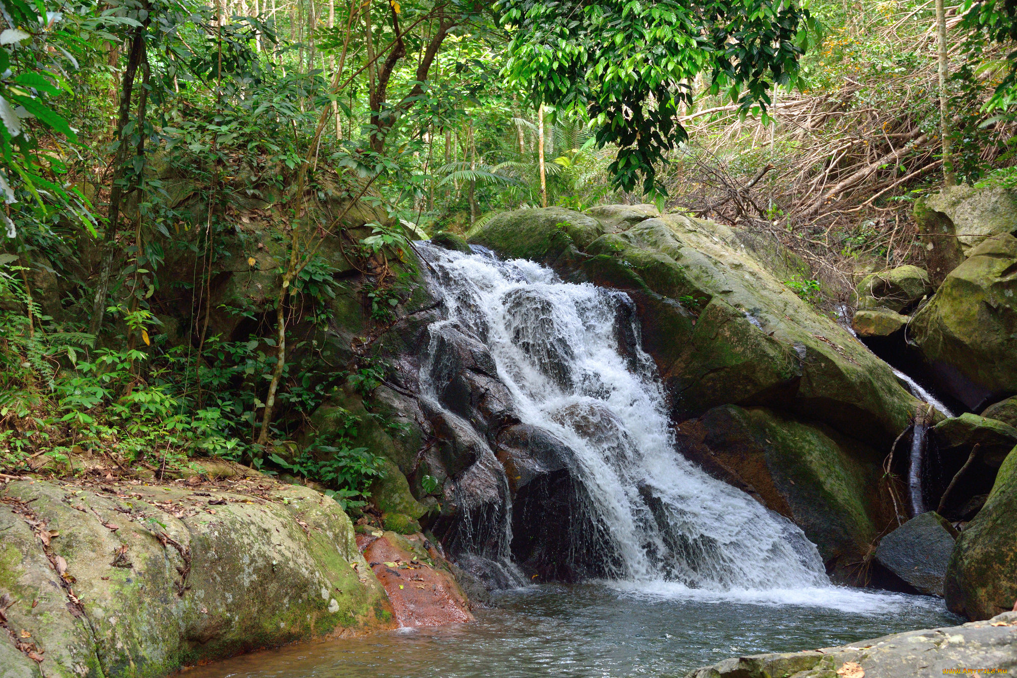 природа, водопады, река, водопад, лес