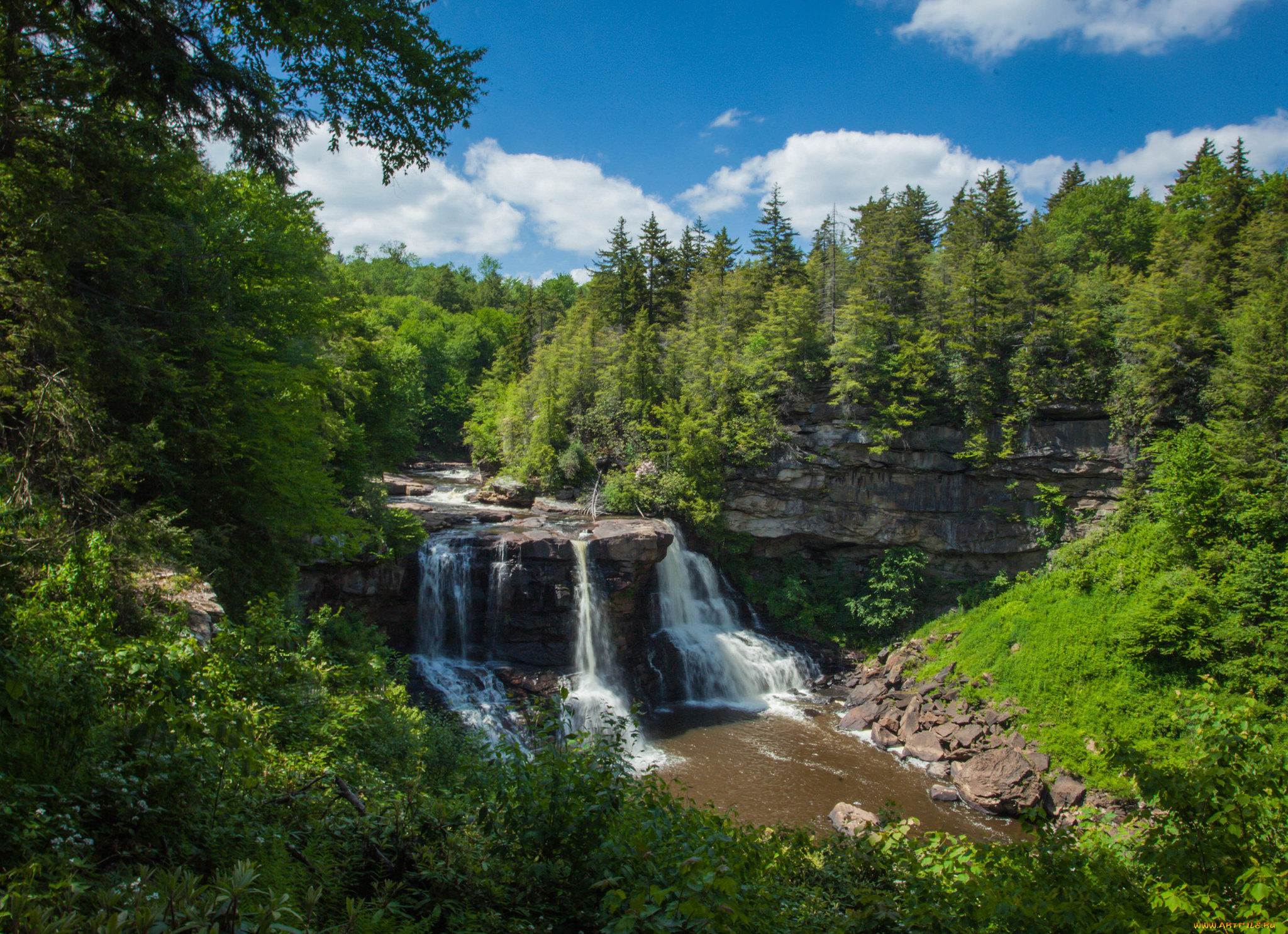 природа, водопады, водопад, лес, река