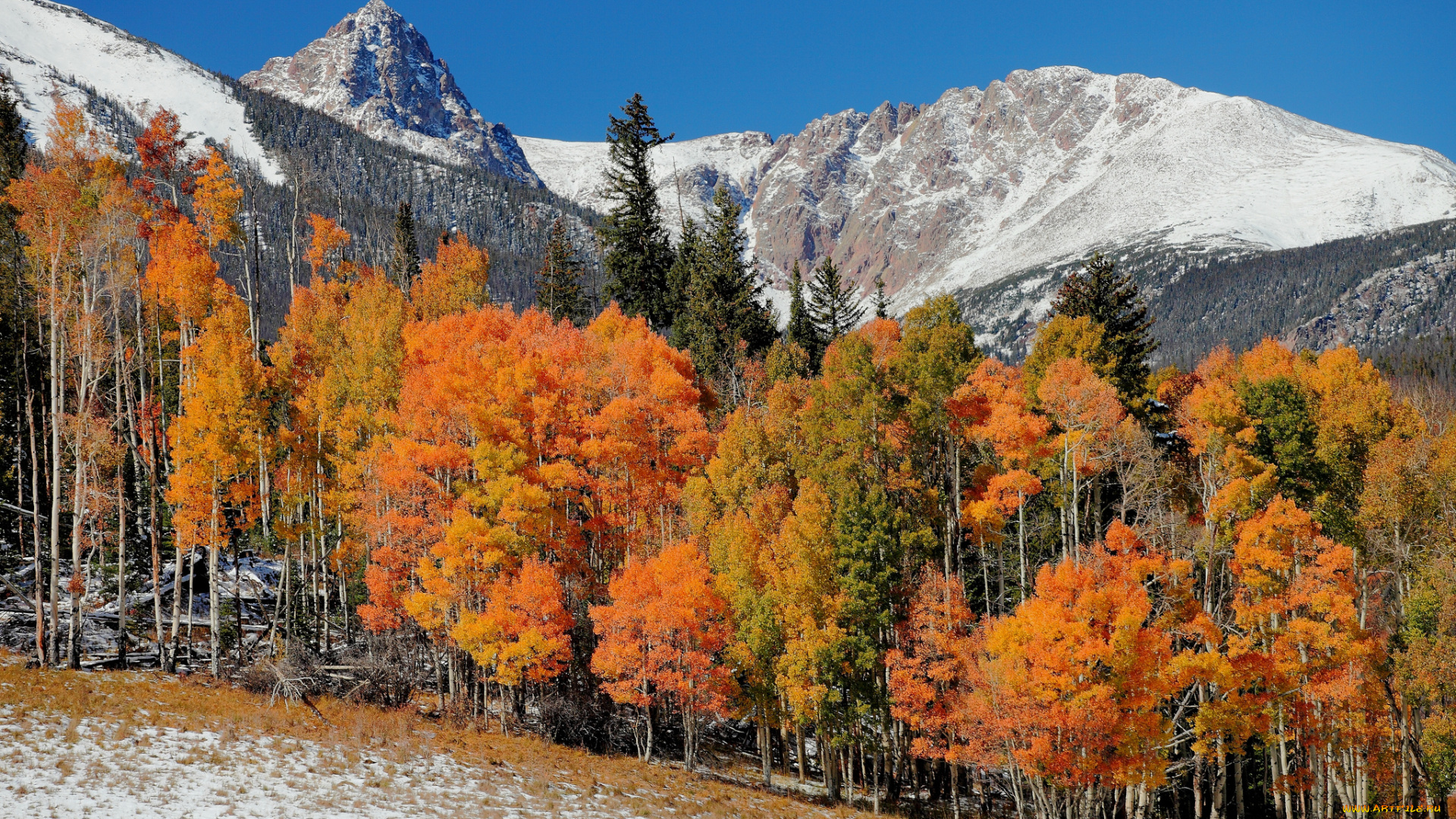 природа, горы, простор