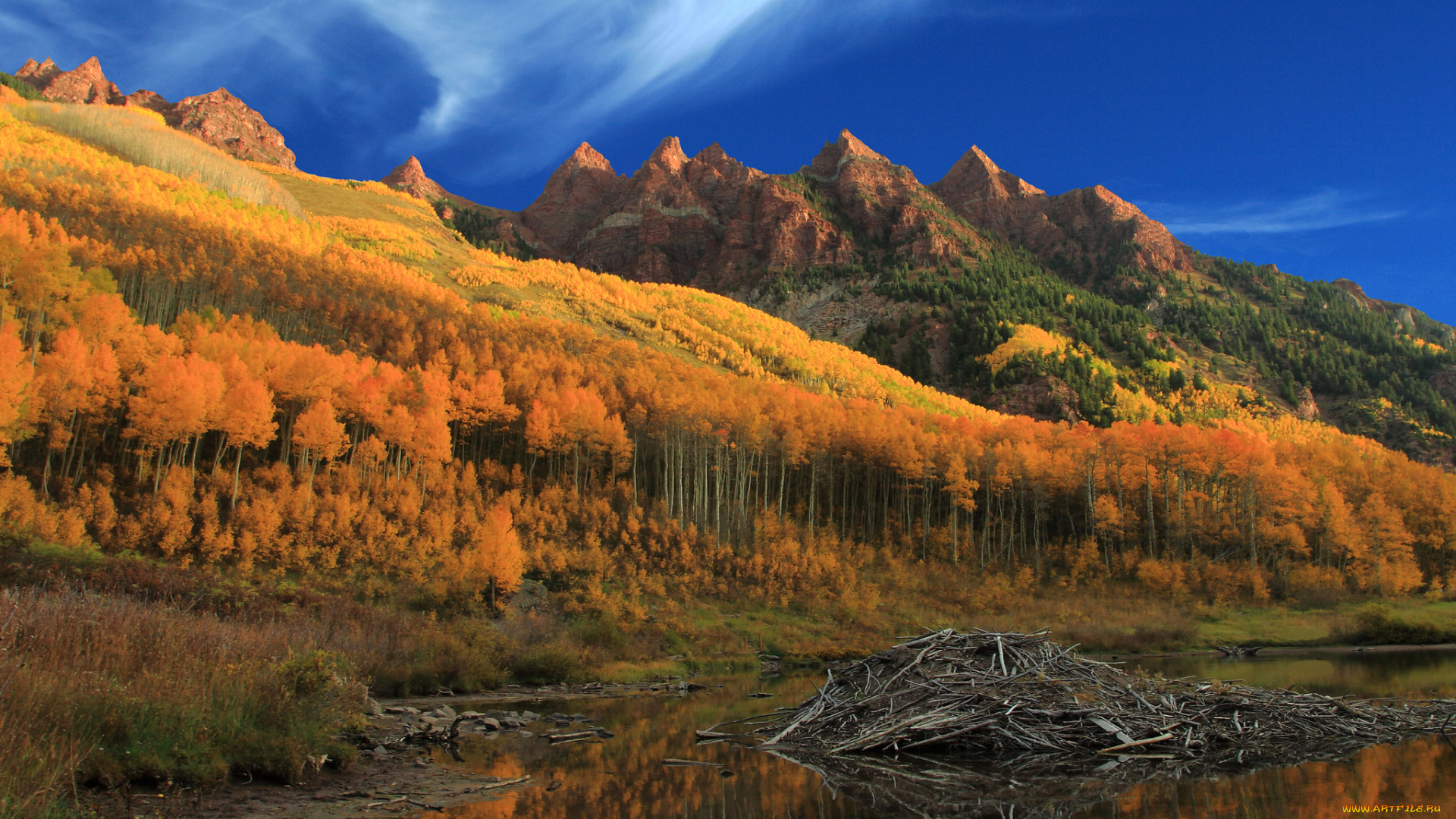 природа, горы, простор