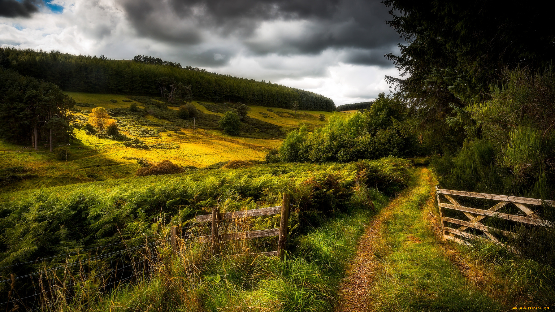 природа, пейзажи, простор