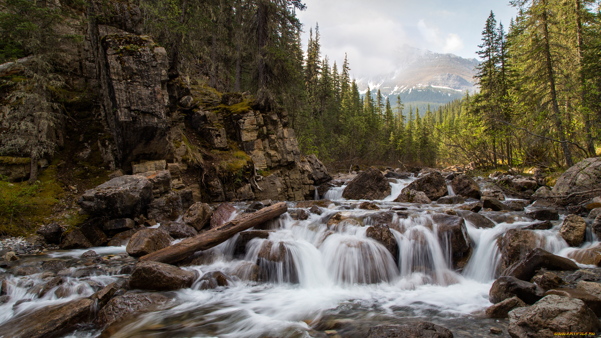 природа, реки, озера, простор