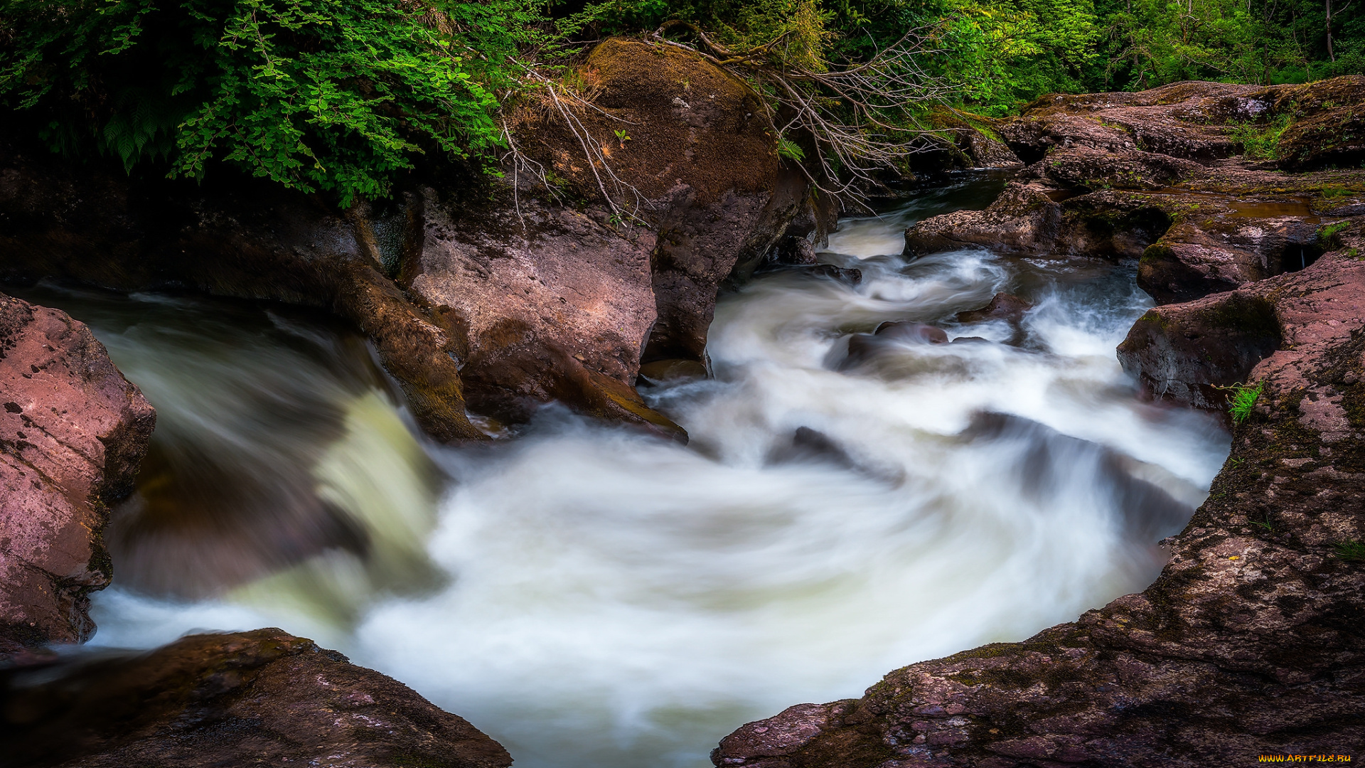 природа, реки, озера, простор