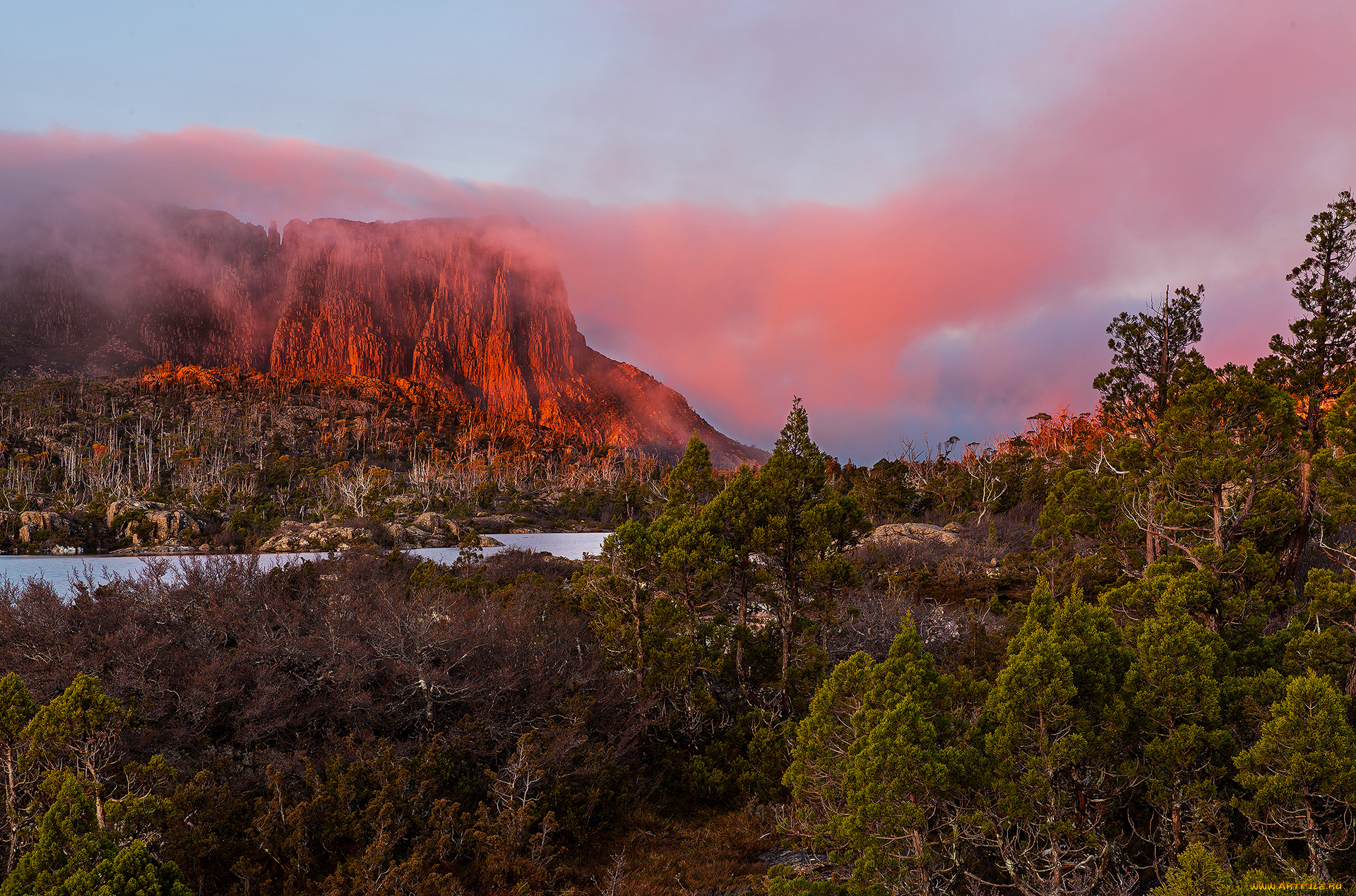 природа, горы, простор