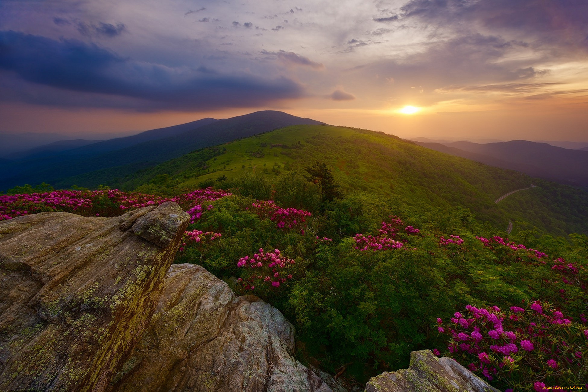 природа, луга, простор