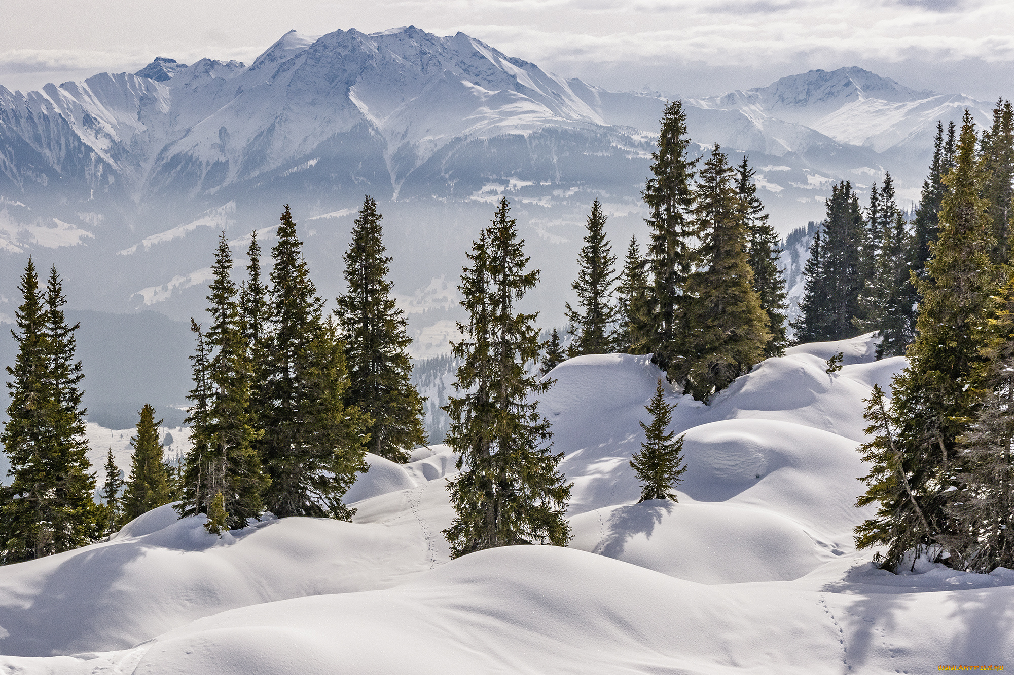 природа, зима, простор