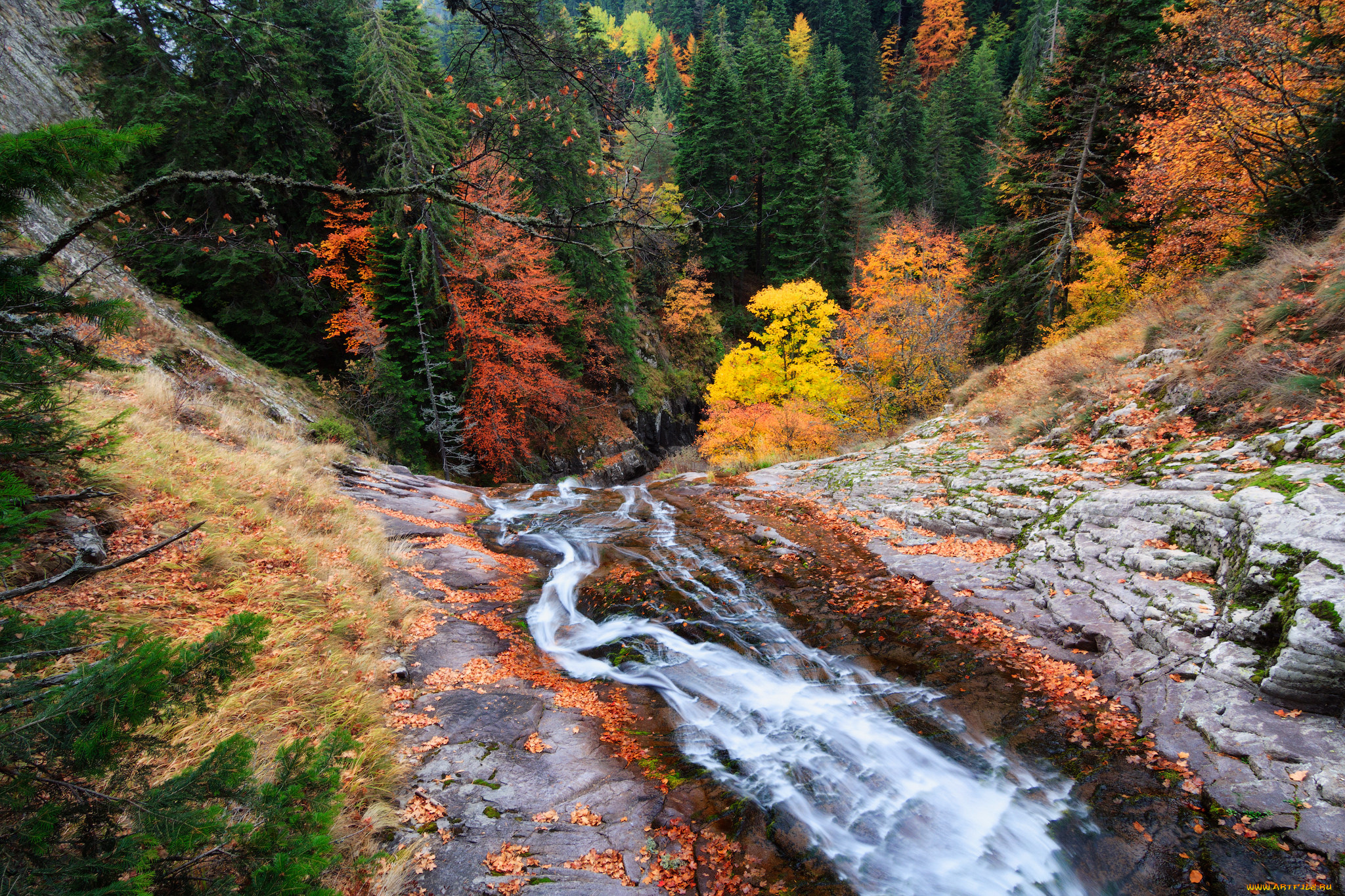 природа, реки, озера, простор