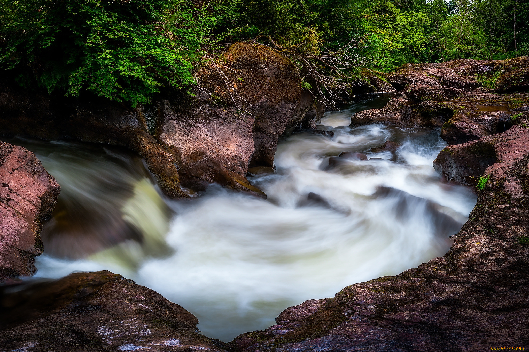 природа, реки, озера, простор