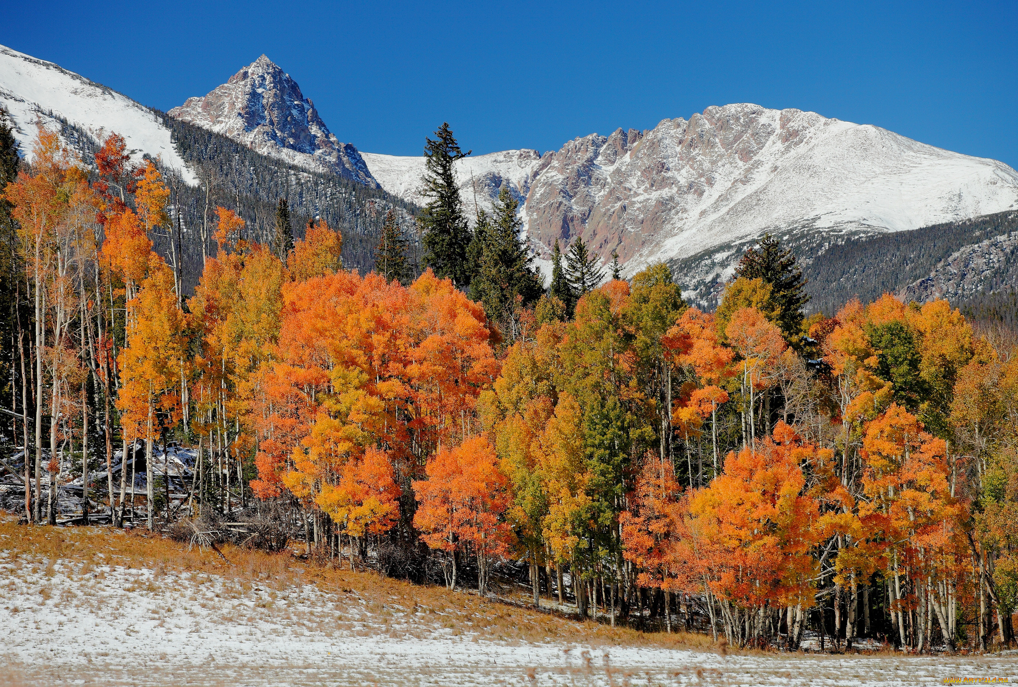 природа, горы, простор