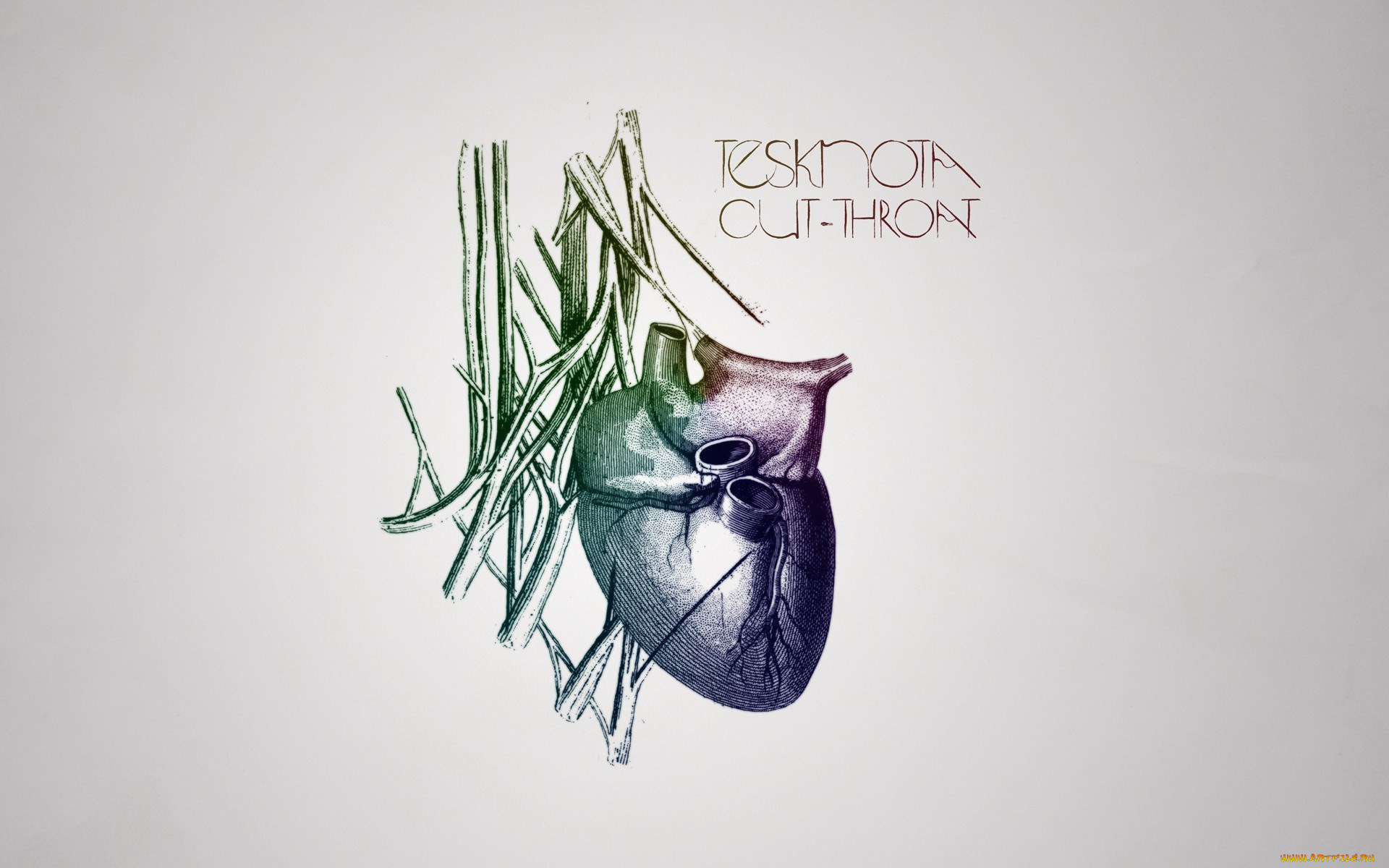 tesknota, музыка, -временный, логотип