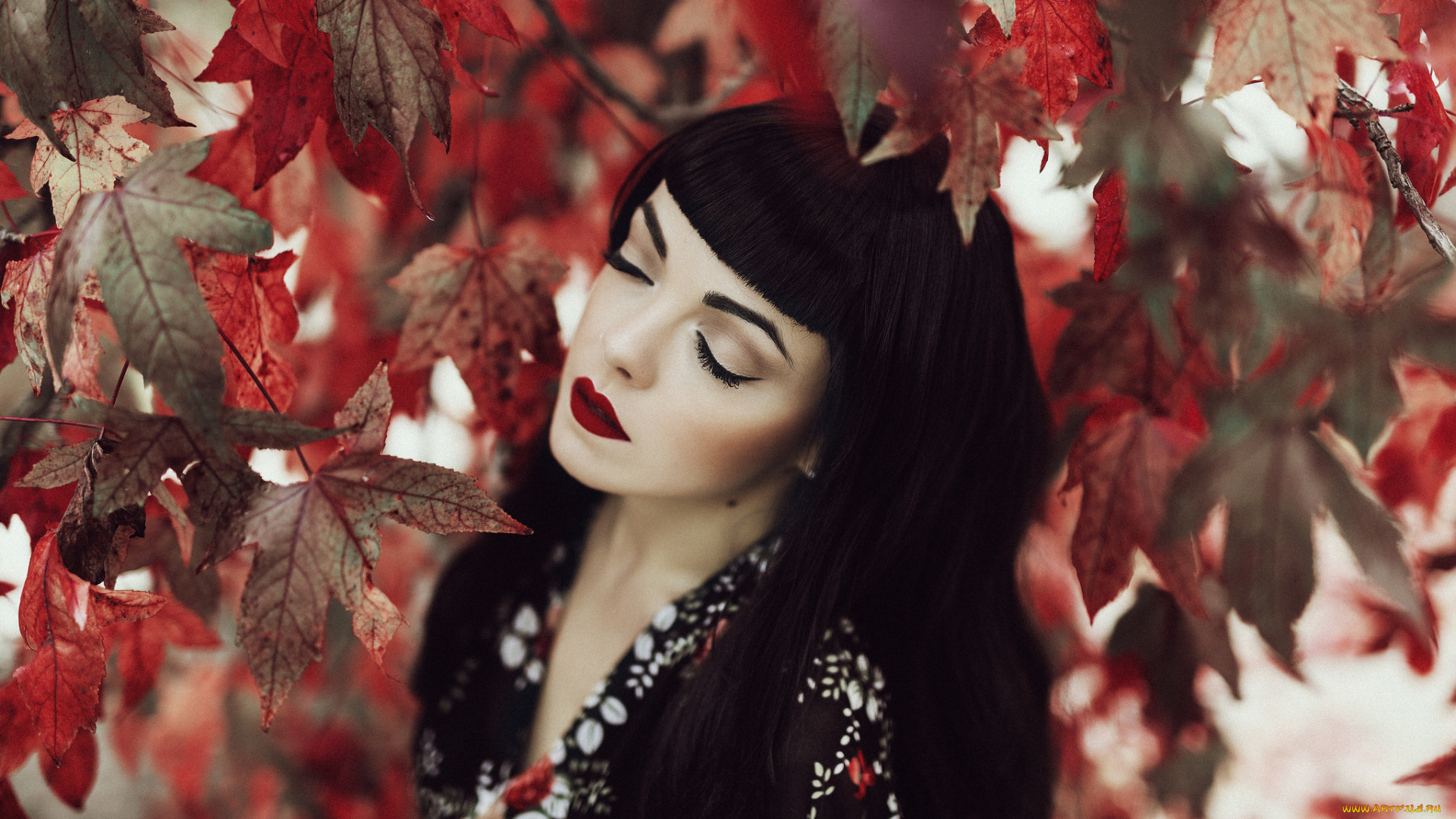 красотка, девушки, -, брюнетки, , шатенки, девушка, красивая, супер, секси, няша, нежная, классная, модница, лапочка, мадам