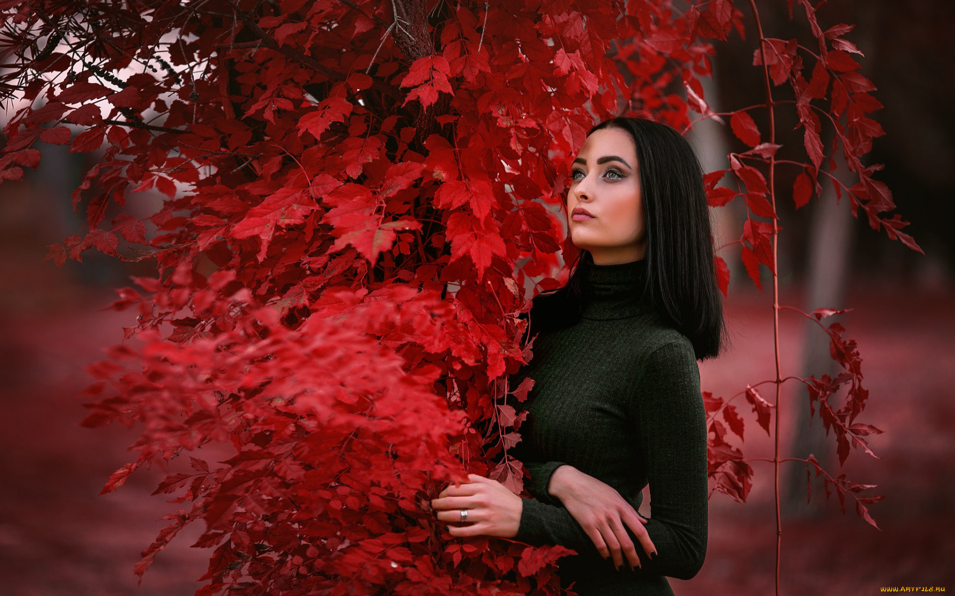 красотка, девушки, -, брюнетки, , шатенки, девушка, красивая, супер, секси, няша, нежная, классная, модница, лапочка, мадам, настя