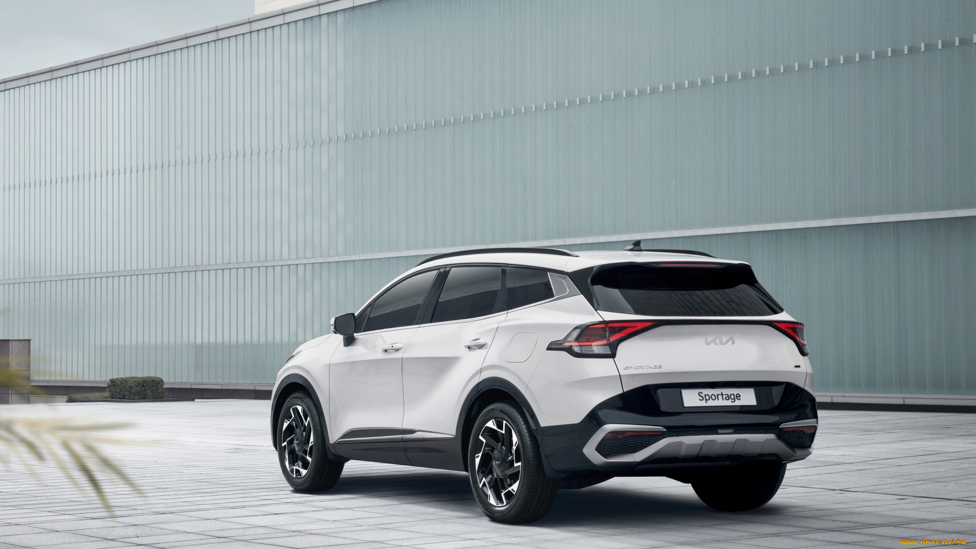 автомобили, kia