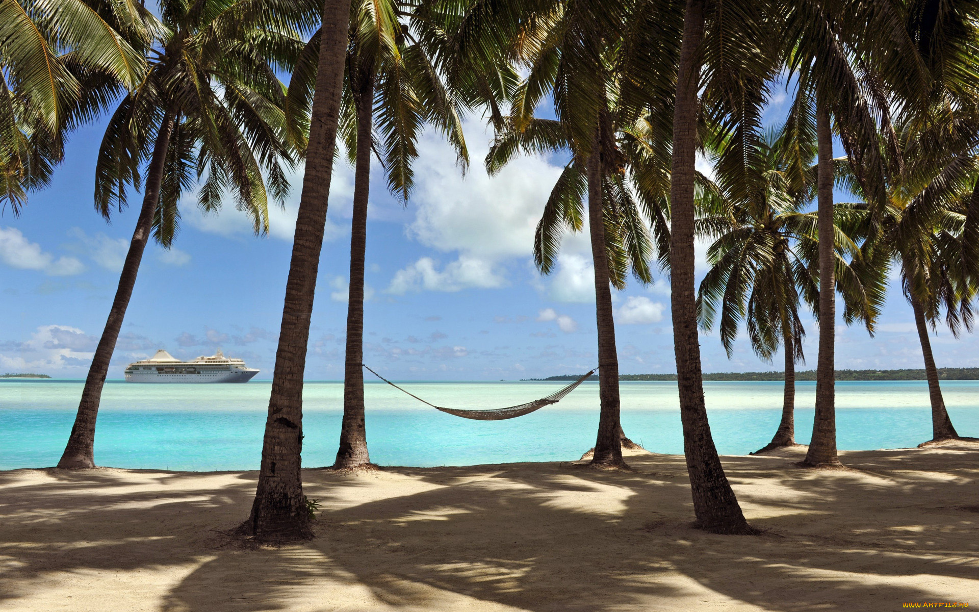 природа, тропики, море, пляж, пальмы