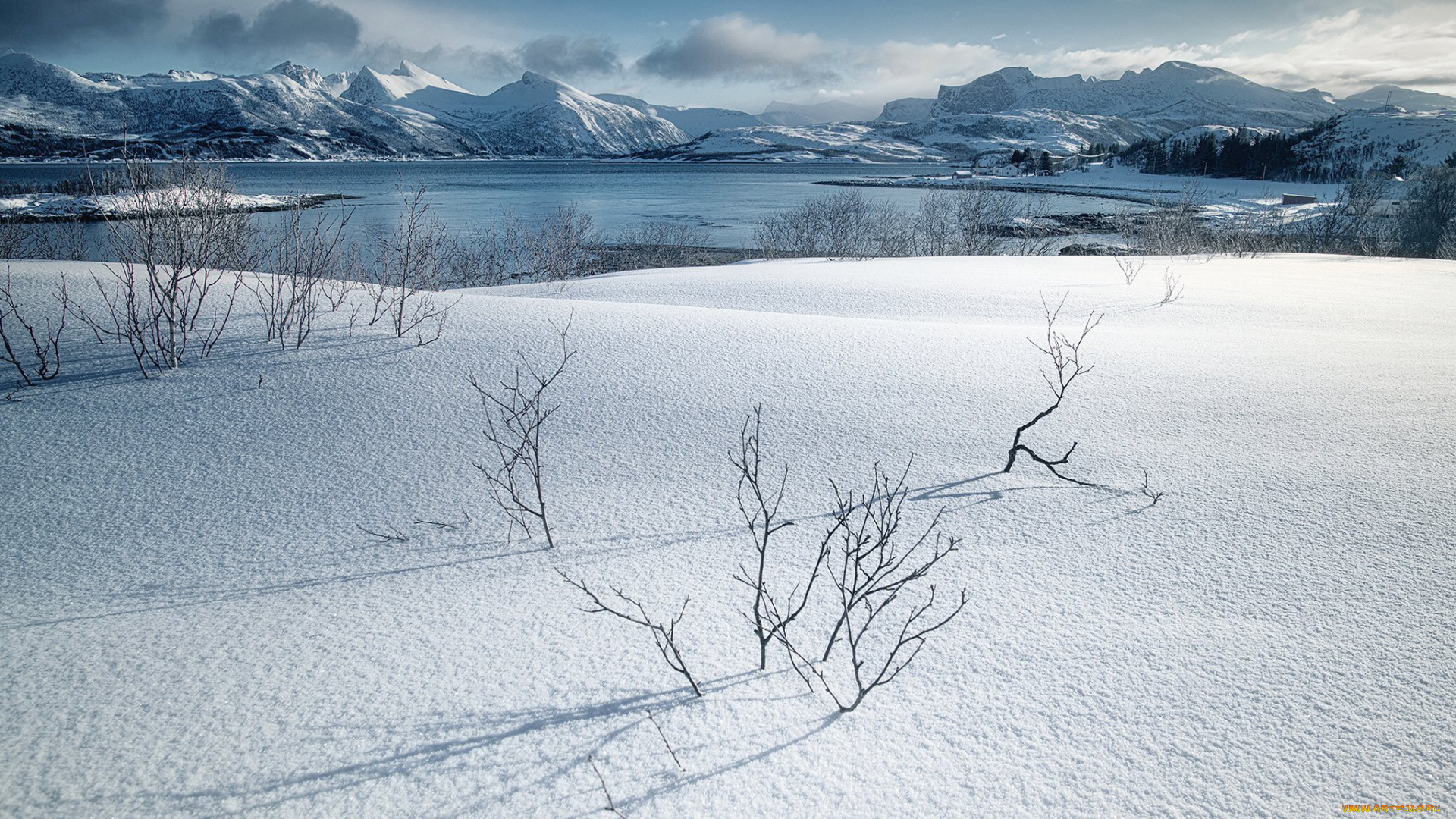 природа, зима, снег