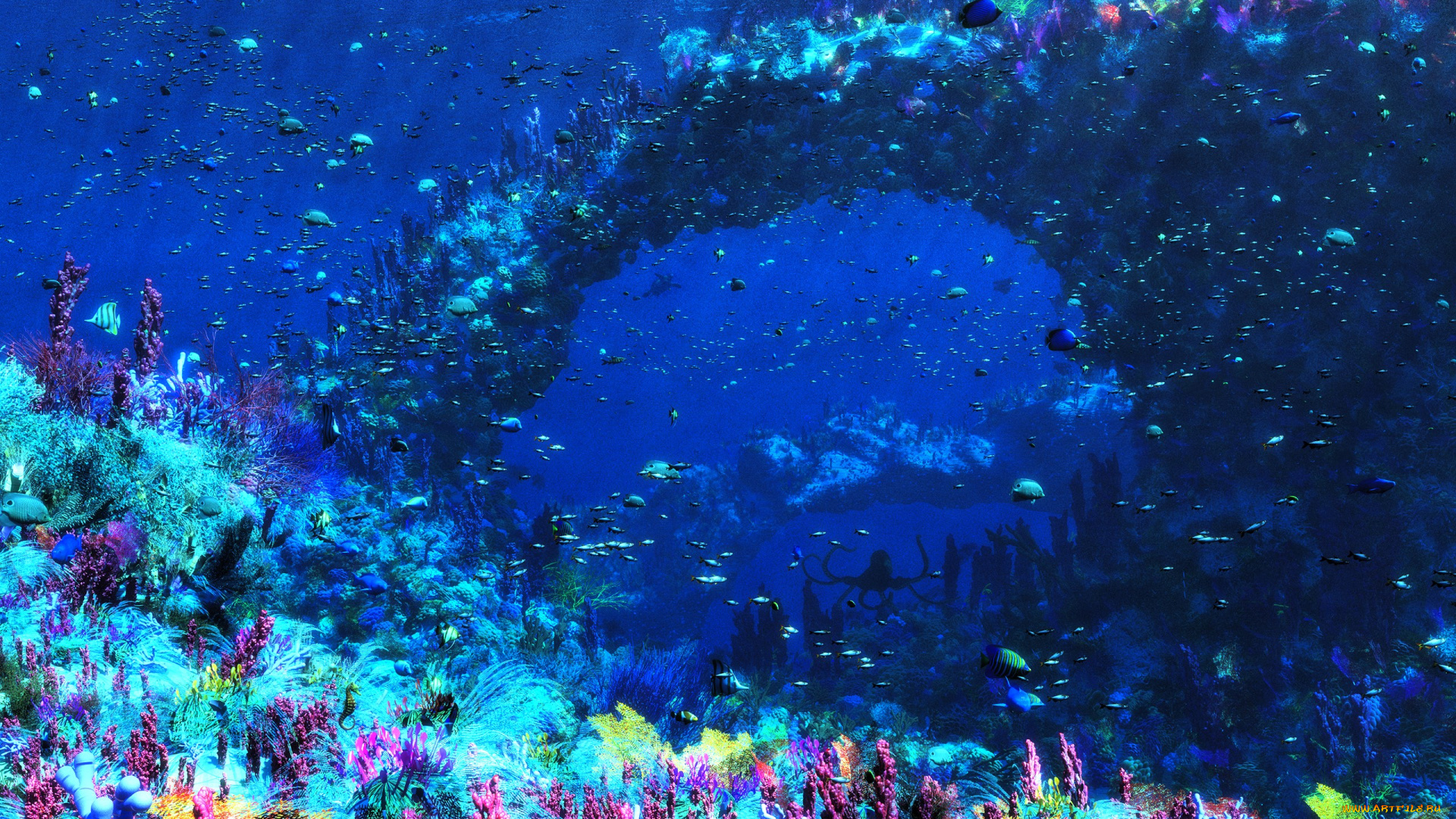 3д, графика, море, , sea, море, арка, скала, дно, рыбы, животные, водоросли