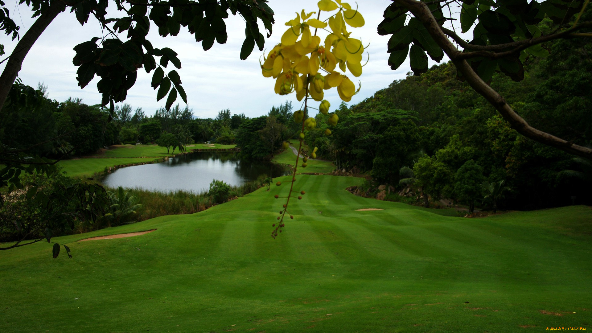 природа, реки, озера, озеро, лужайка, деревья