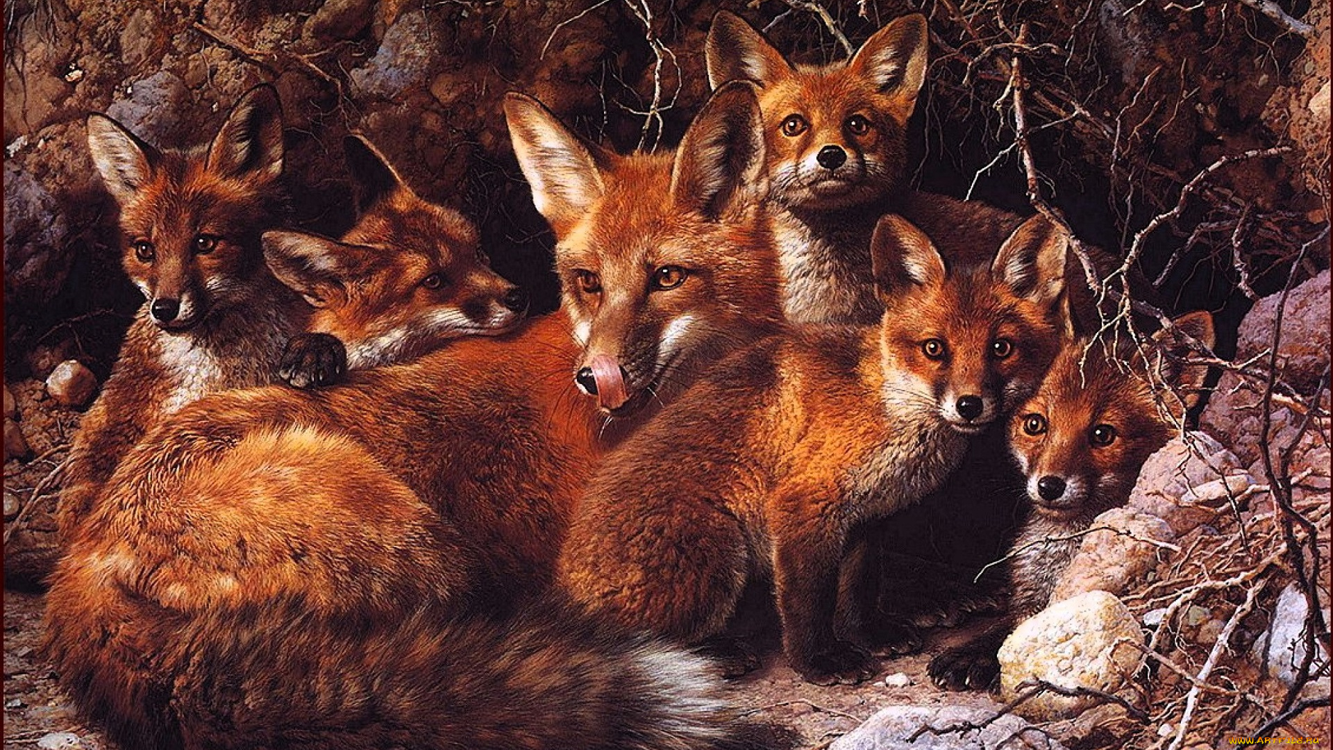 рисованное, животные, , лисы, лиса, лисята, нора, корни